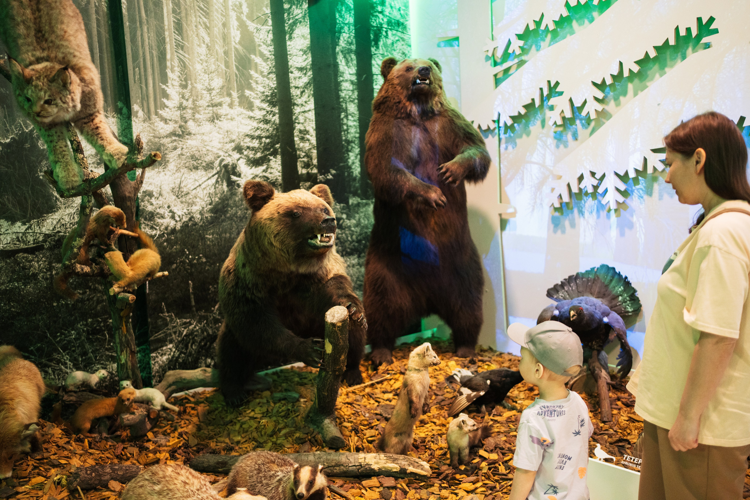 Ночь музеев 2024. Фотограф на любое событие в Кемерово