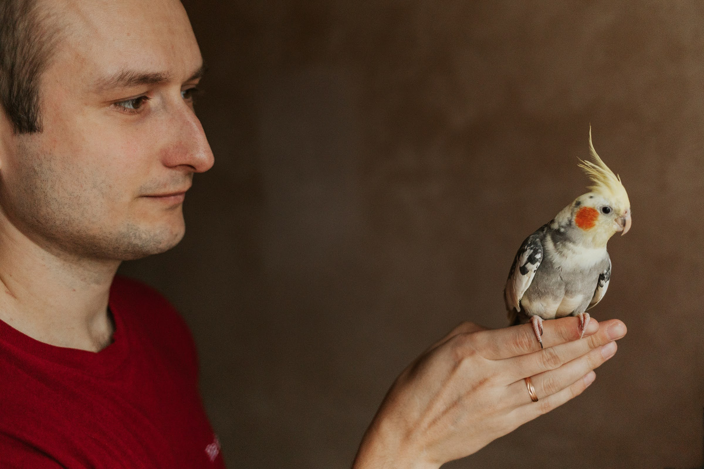 Домашняя съемка 6. Семейный домашний фотограф Москва Ивантеевка Пушкино Ирина Якштес