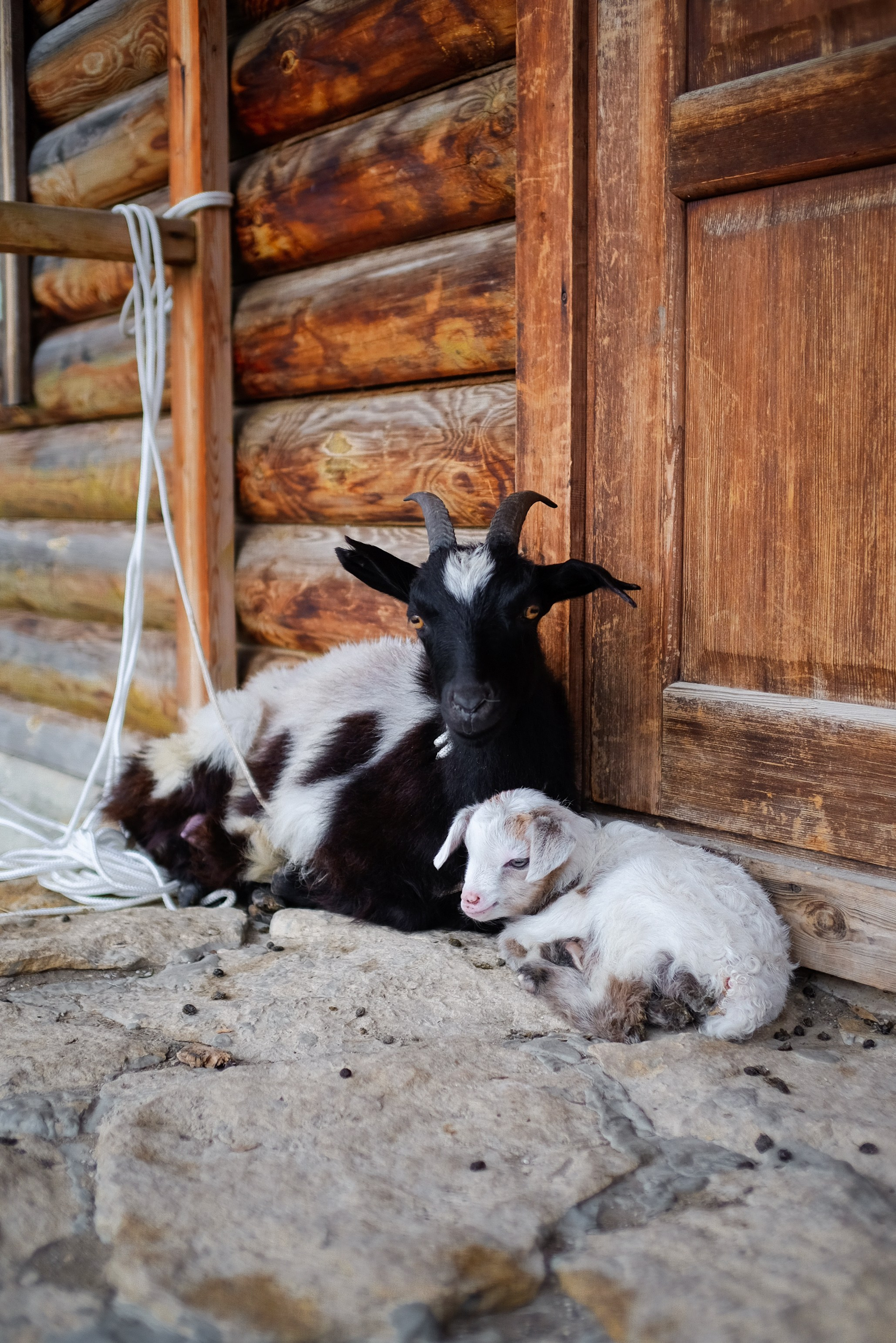 Поездки по России. Трандин Иван Фотограф СПб