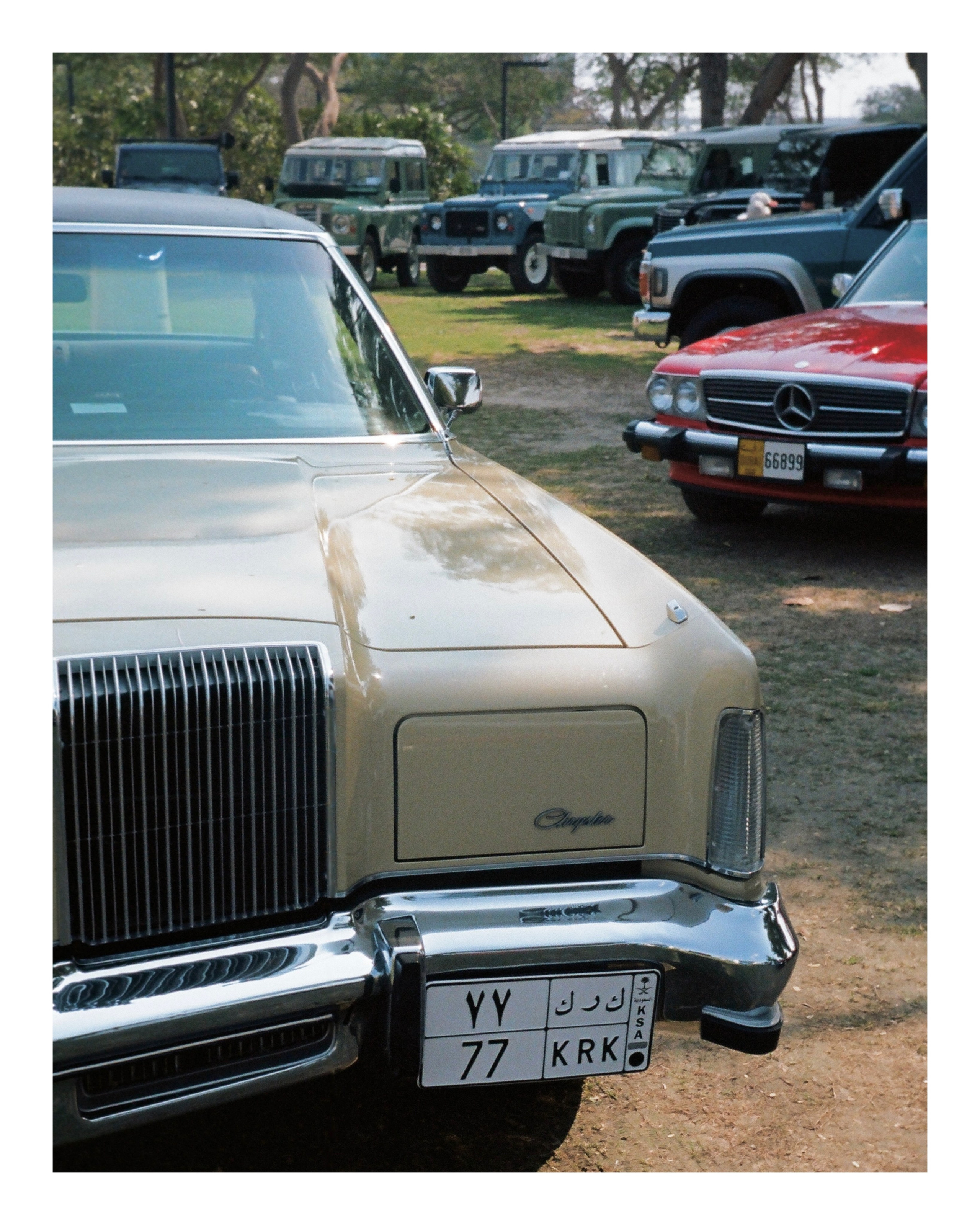 The Grand Picnic (35мм). Katyavasileva