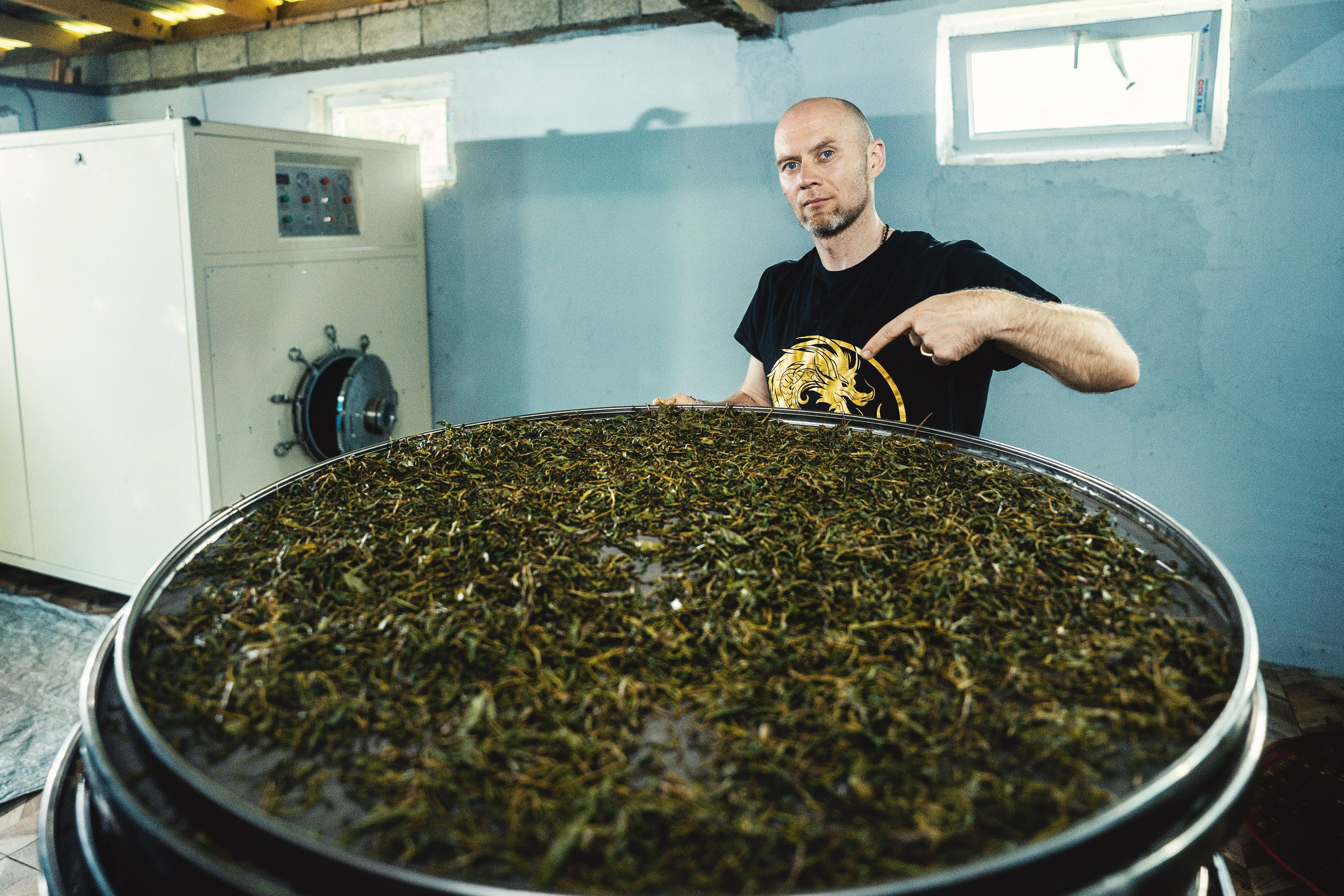 Tea production Moychay, Guria. Андрей Фадеев фото видео Тбилиси
