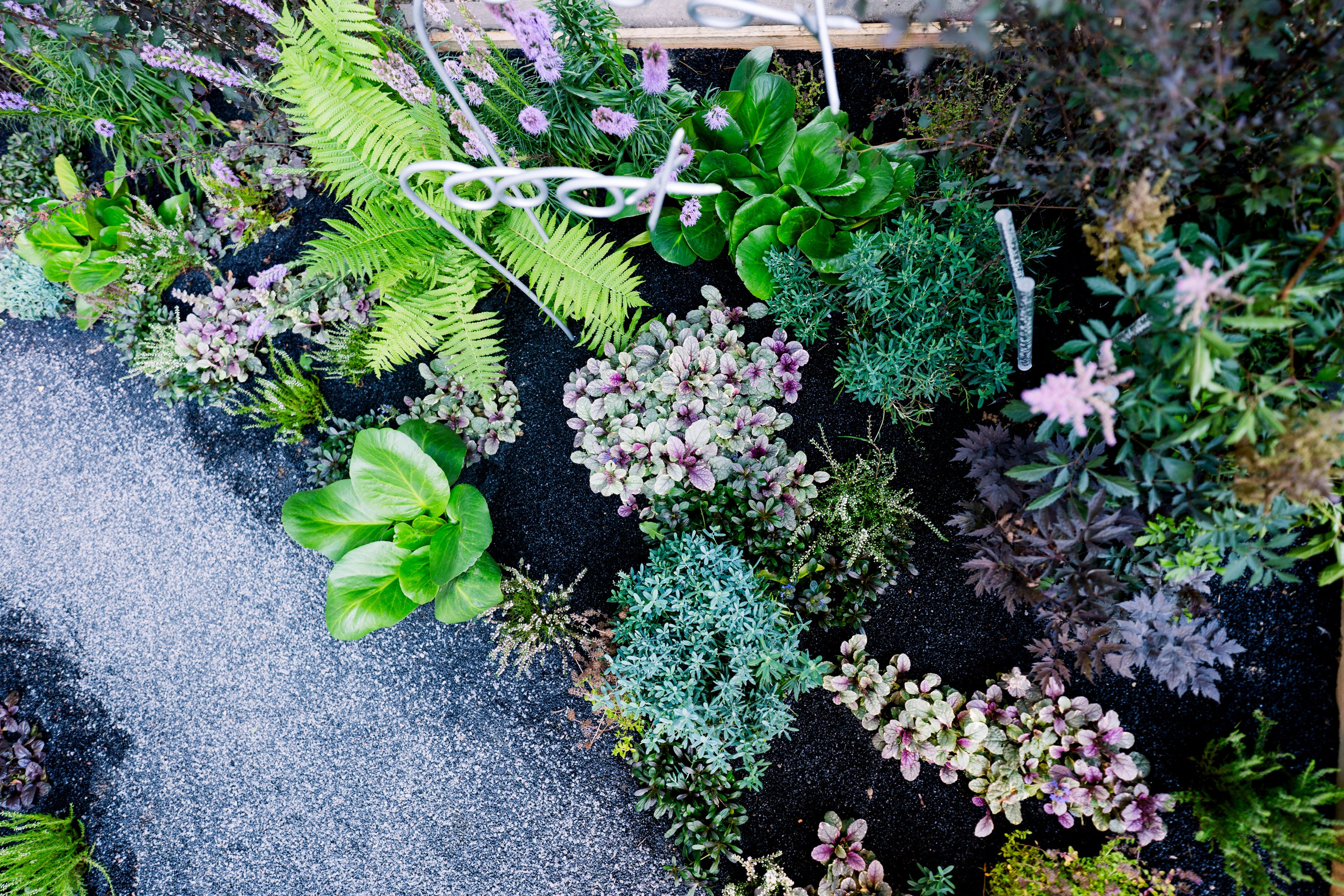 Сад Плеяд. Студия ландшафтного дизайна в Москве. Love My Garden