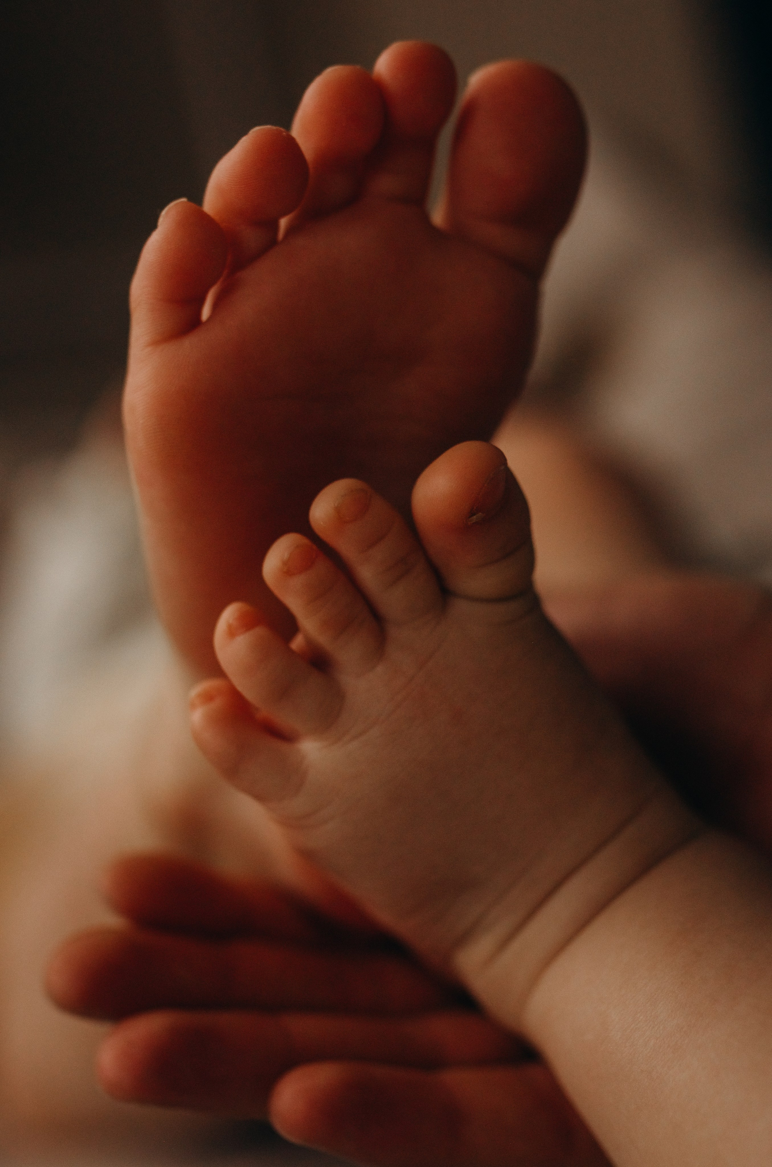 Братик. Главная