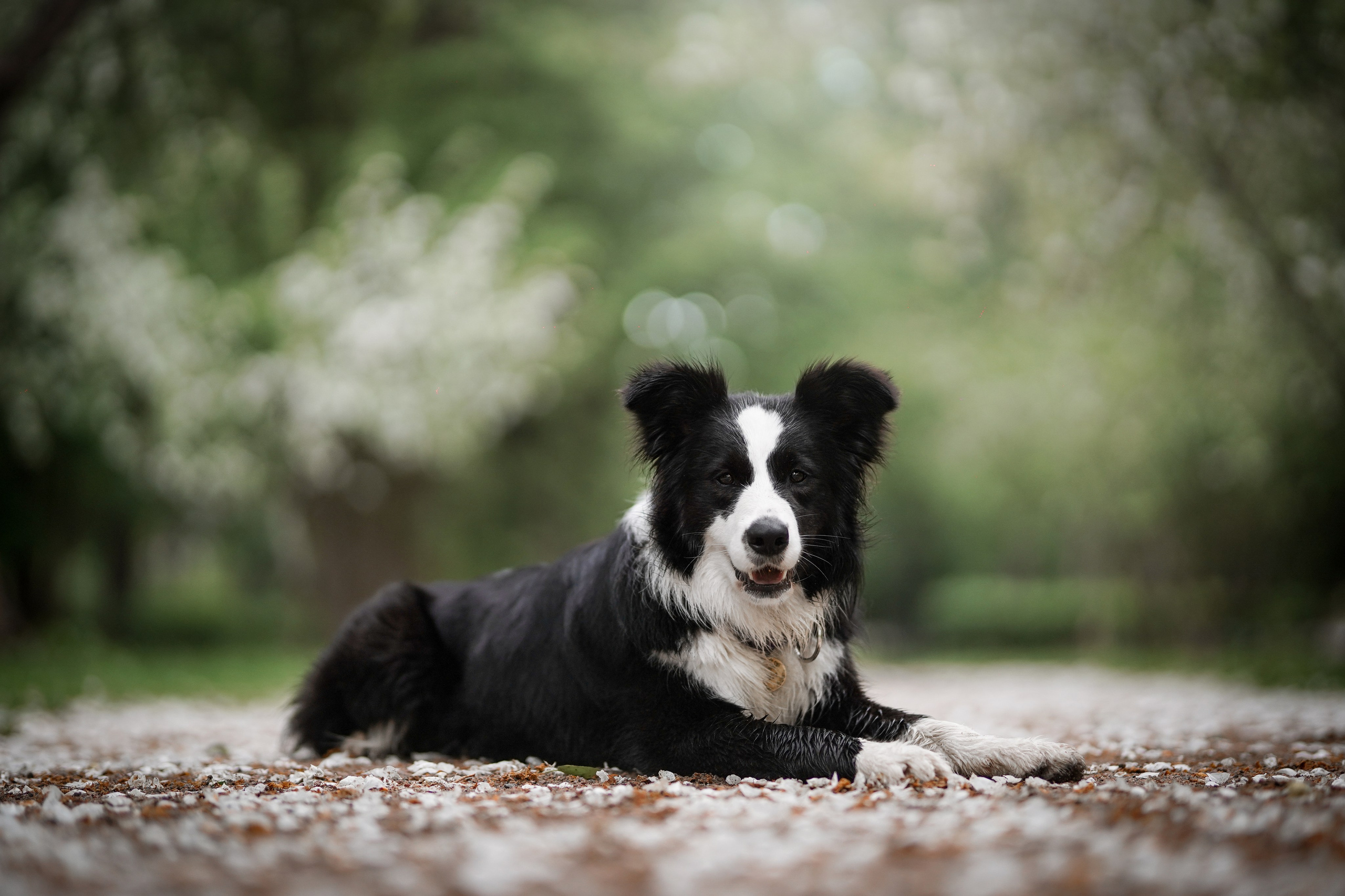 Юля, ее мама и Груша. Фотограф-анималист в Санкт-Петербурге Яна Мартынова