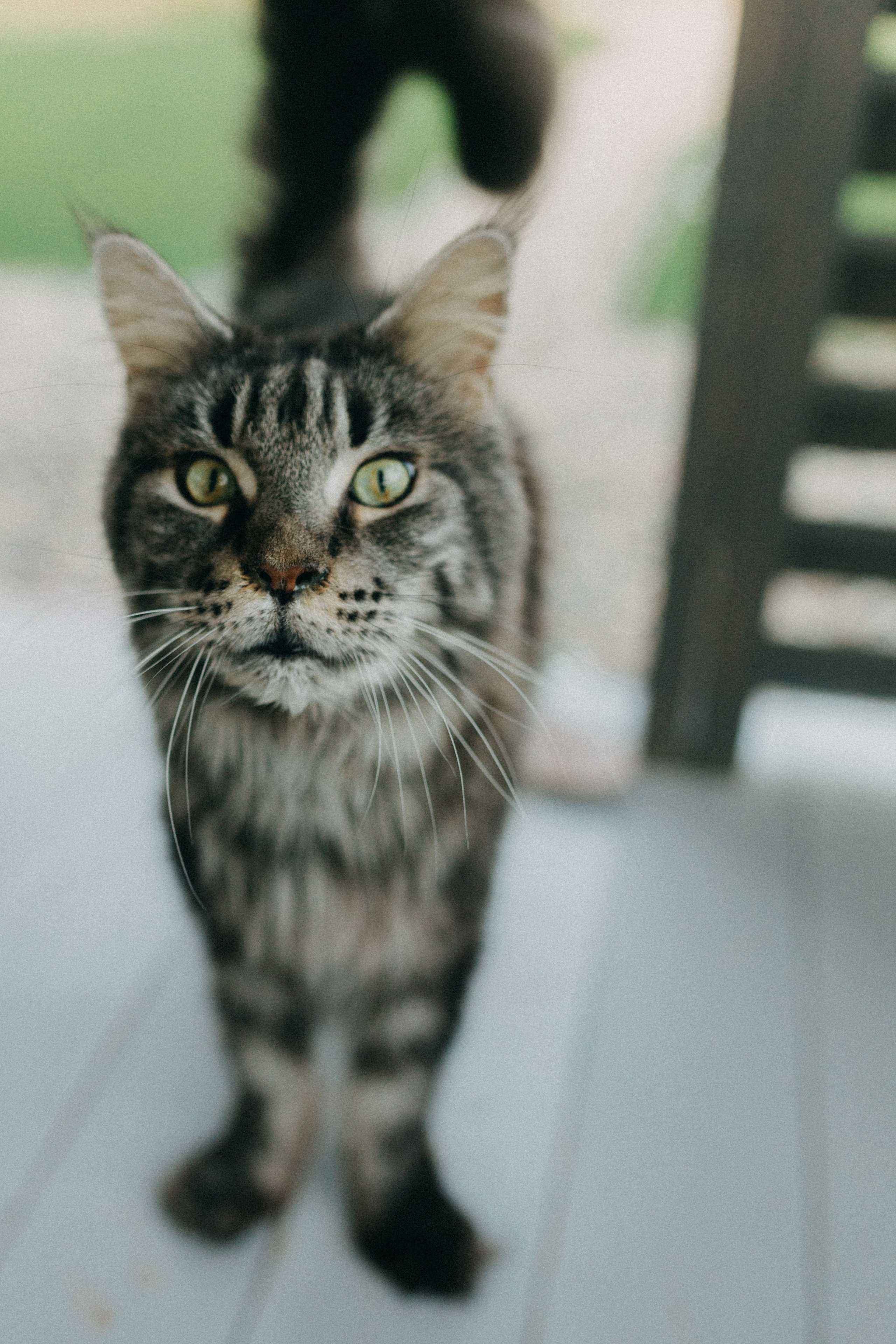 День Рождения Татьяны. Фотограф НОГИНСК, Москва, Анастасия Белая