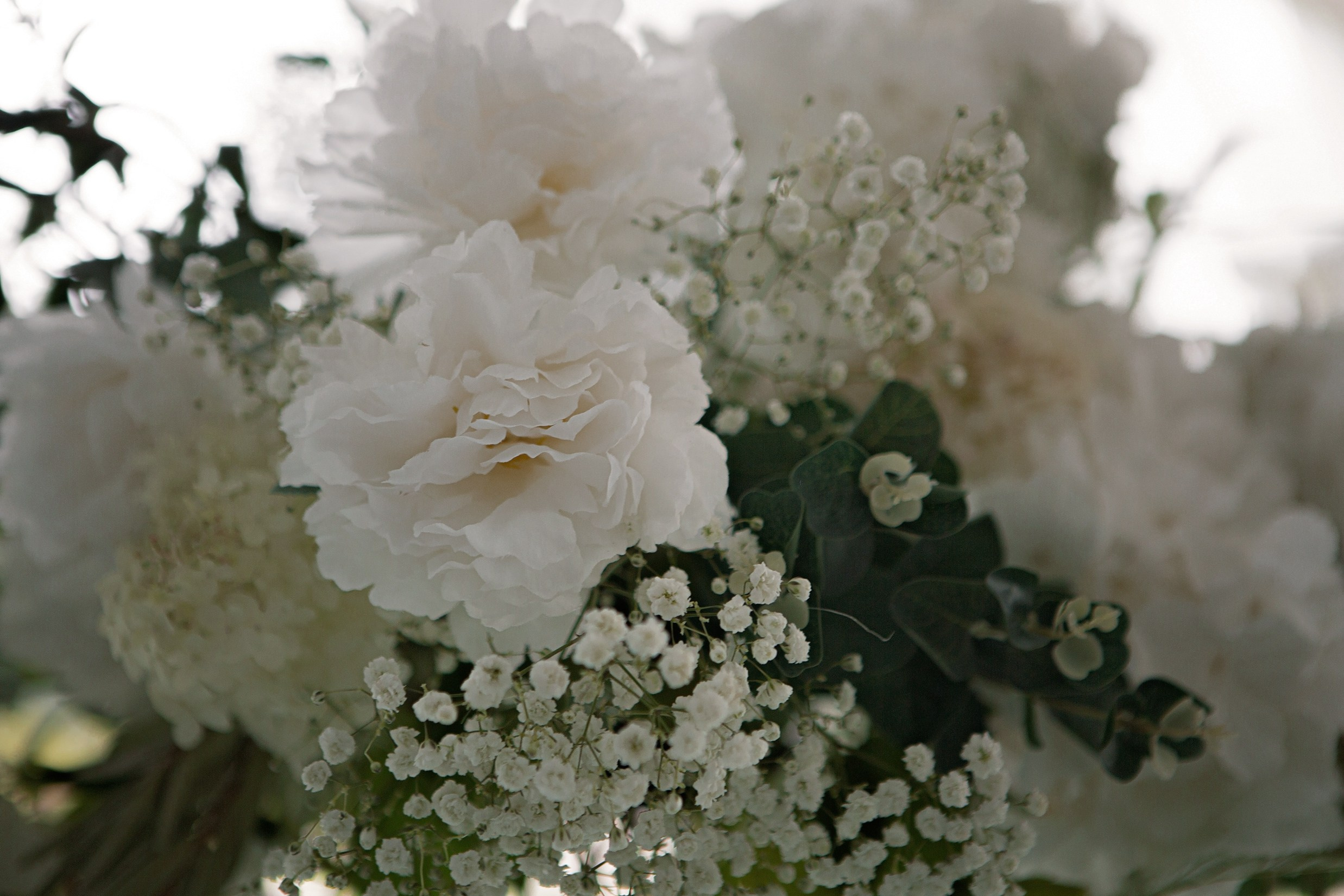 Свадьба с гостями. Свадебный и портретный фотограф Москва