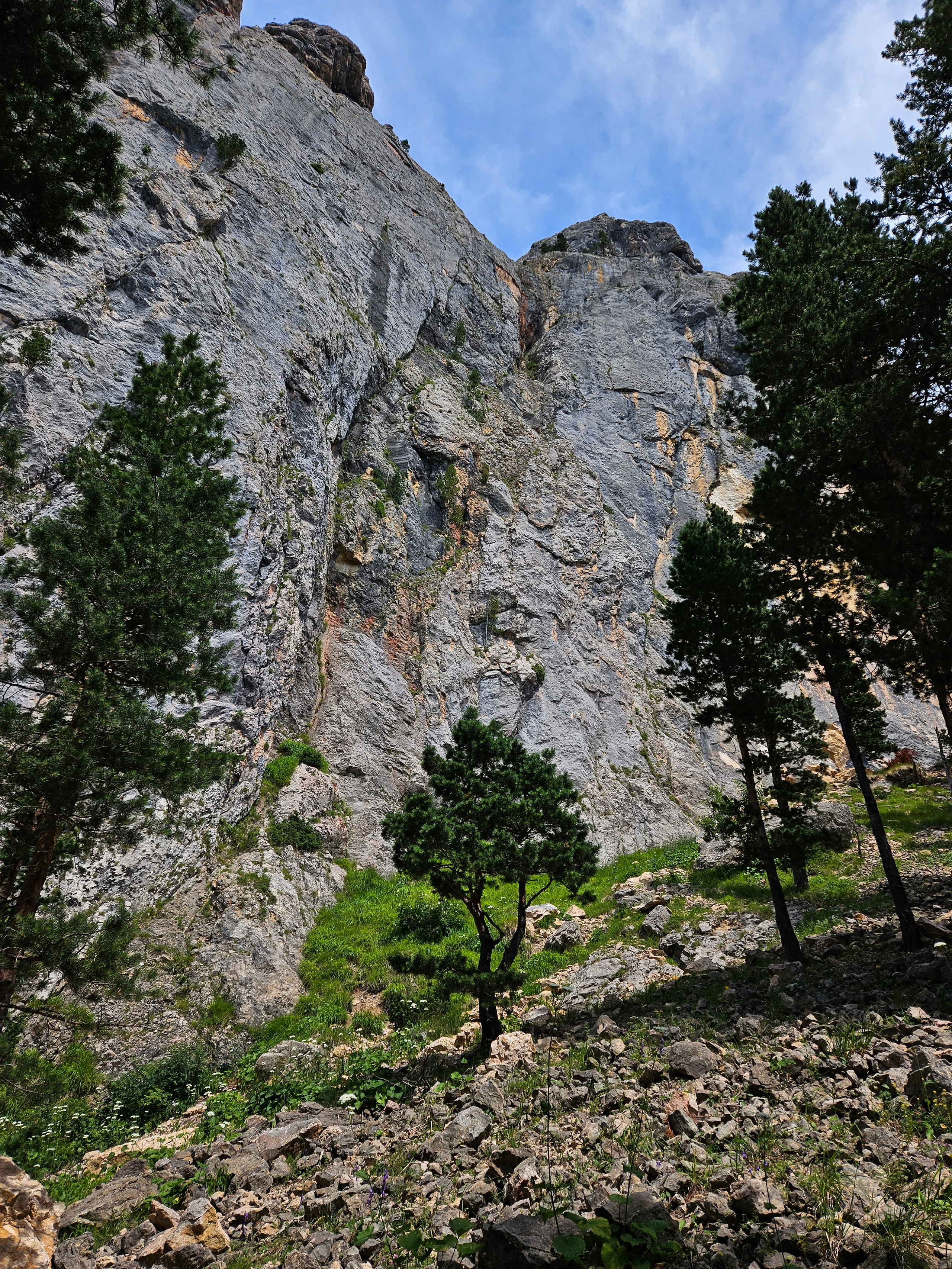 БОЛЬШОЙ ТХАЧ. Любовь Моргасова [LU SPRING]: Фотограф и куратор