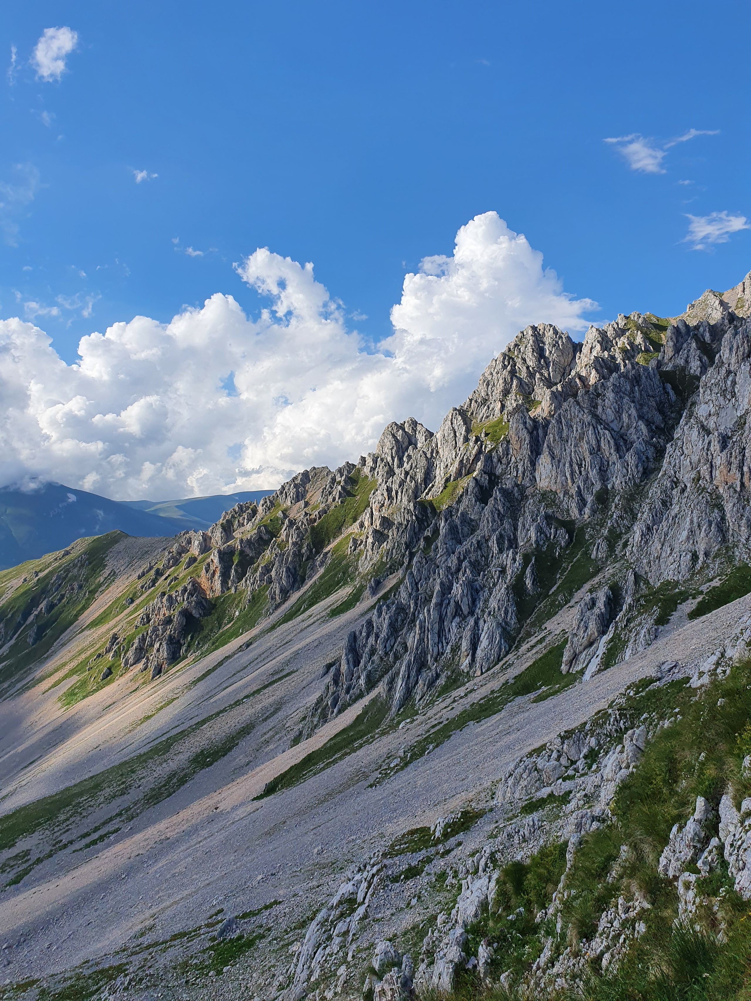 Любовь Моргасова [LU SPRING]: Фотограф и куратор