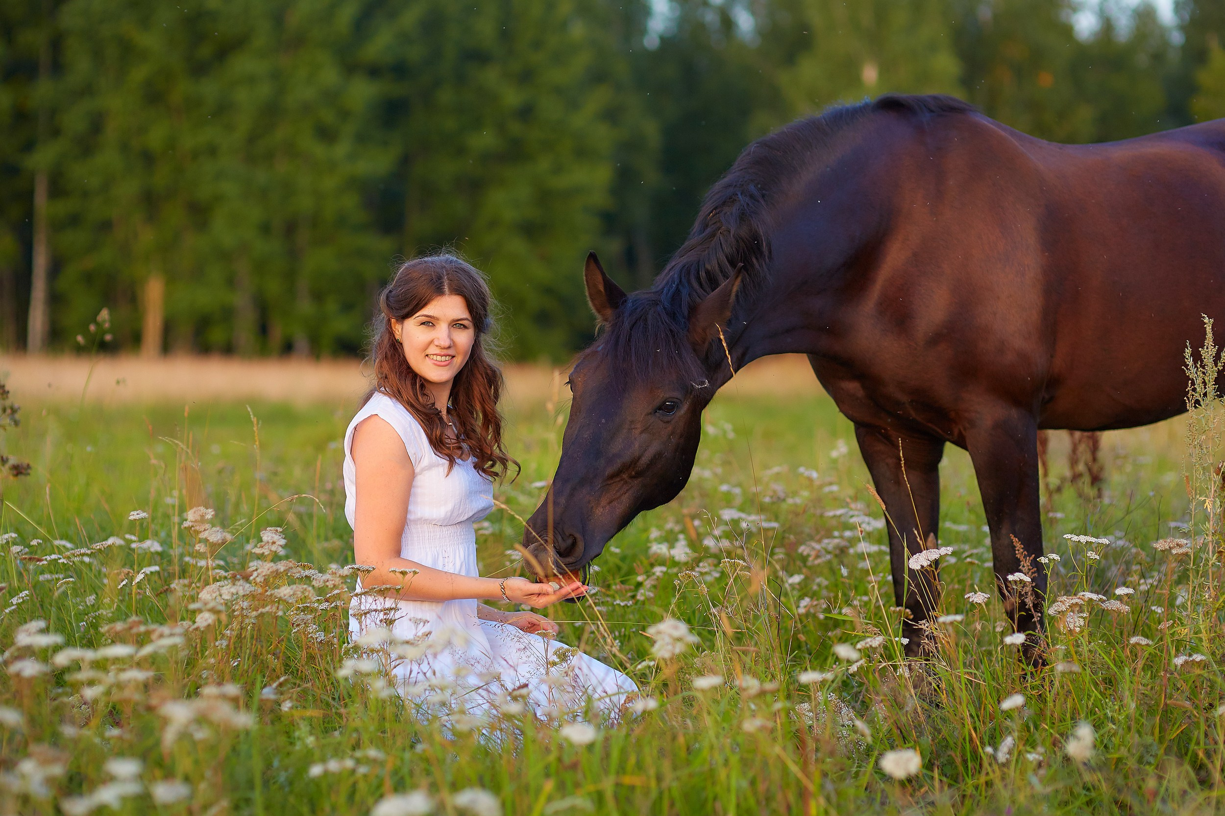 Фотосессия с лошадьми для Ирины. Фотограф Михаил Семенов