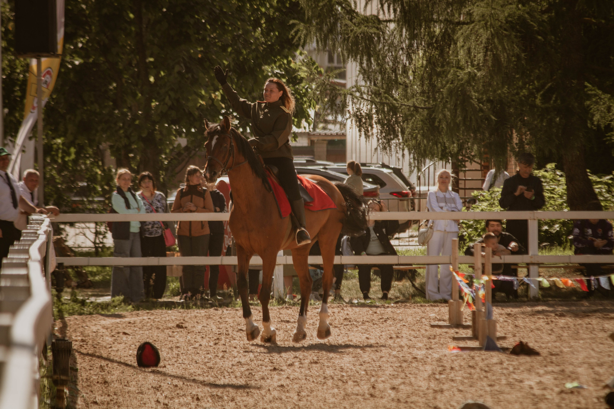 ИППОСФЕРА — Международная конная выставка. Создадим шедевр? Виталина и её фотоискусство