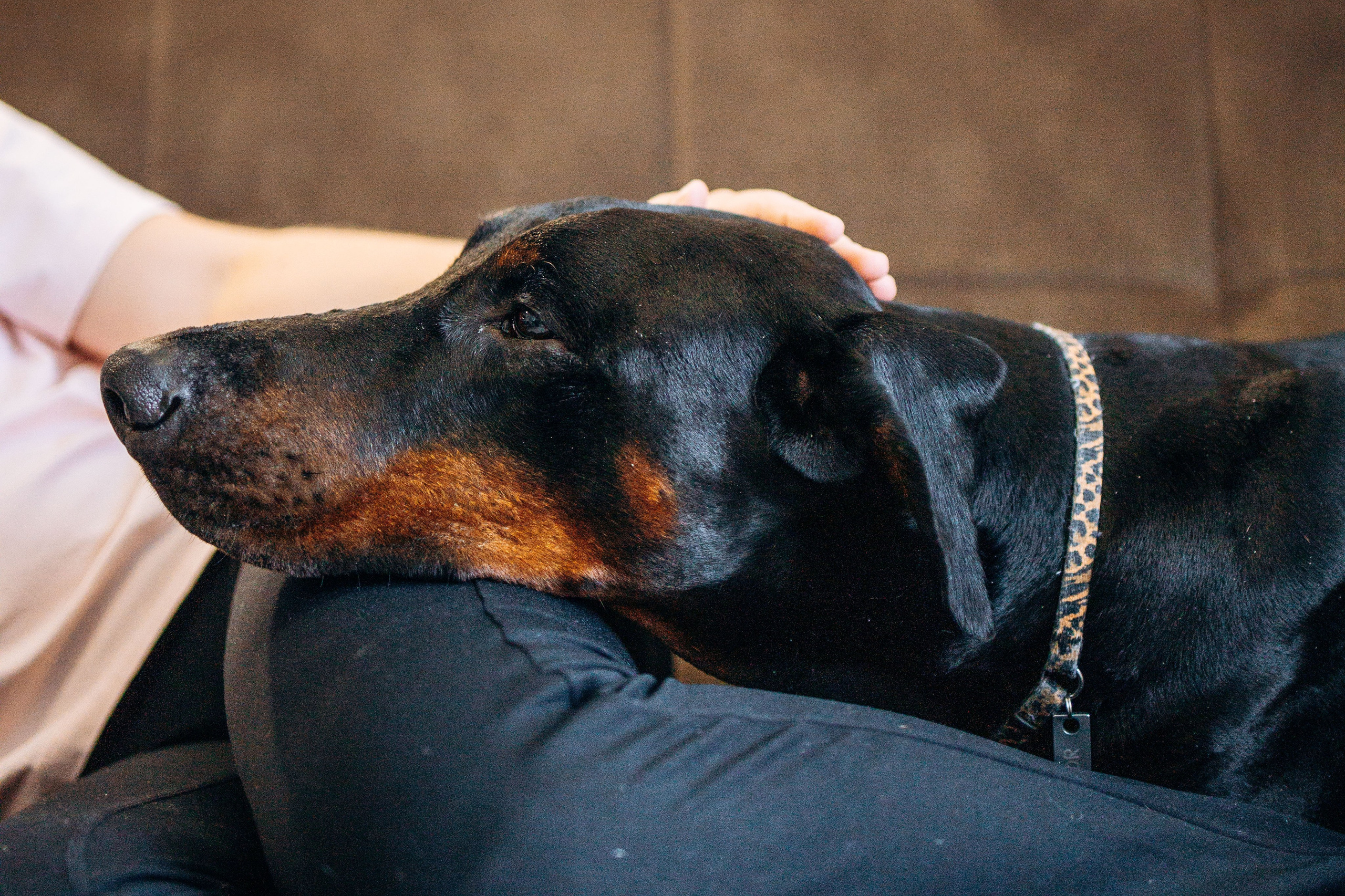 Катя и Конор