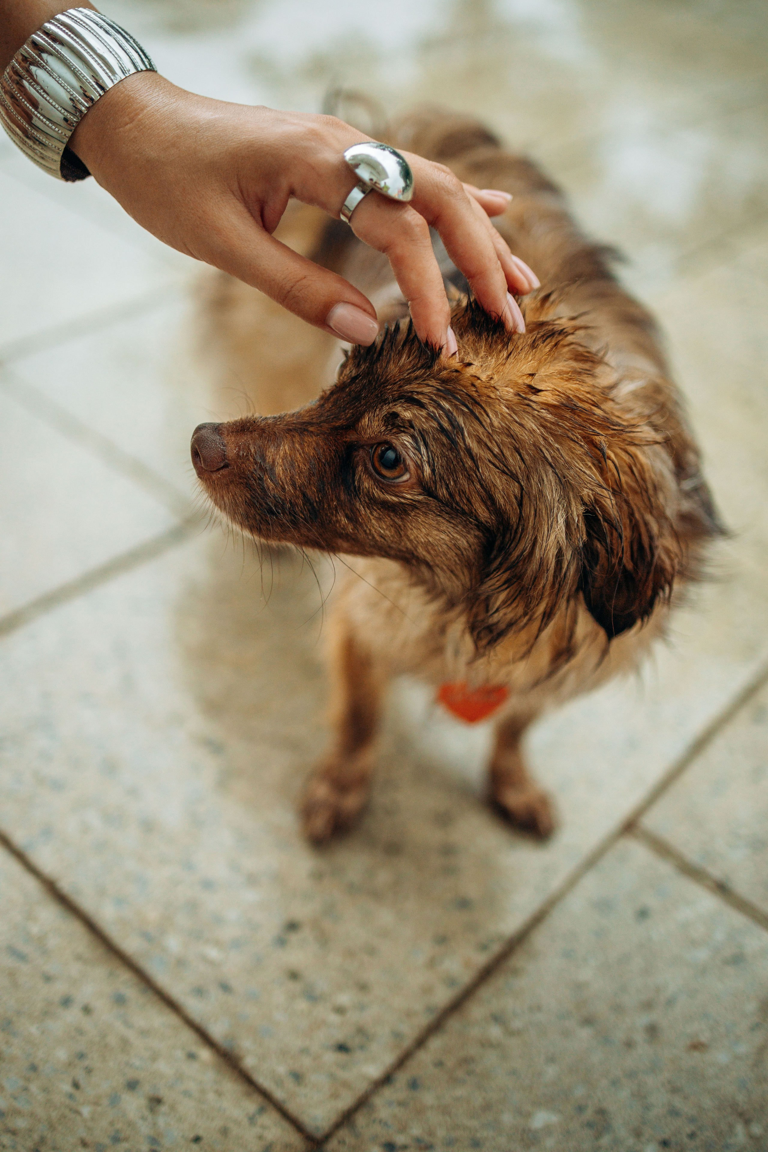 Дарья и Ассоль