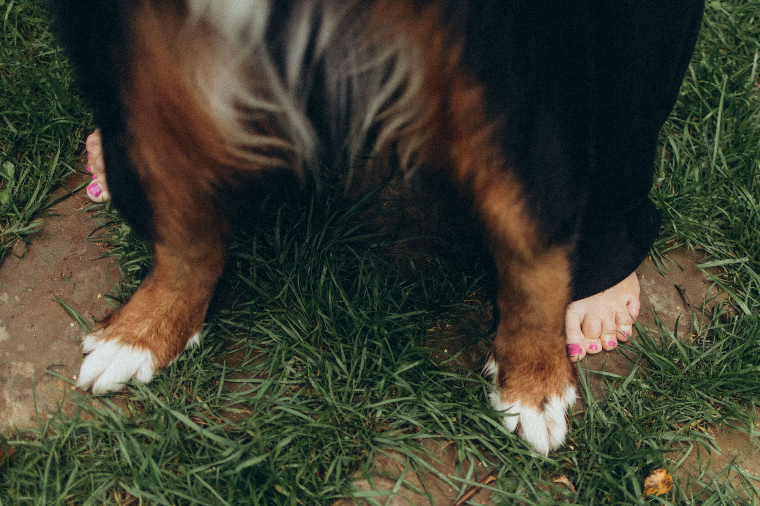 Таня и Тери