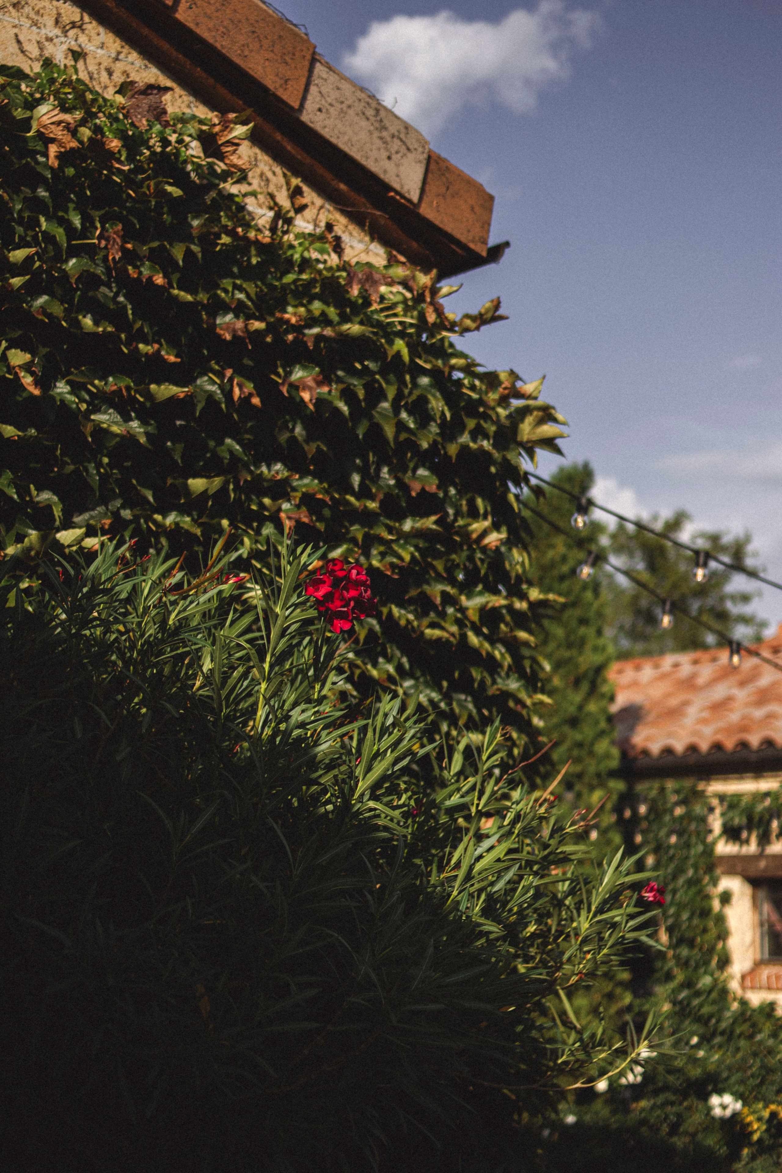 Уличная фотосессия винодельня. Я — фотограф, который помогает запечатлеть самые важные моменты вашей жизни!