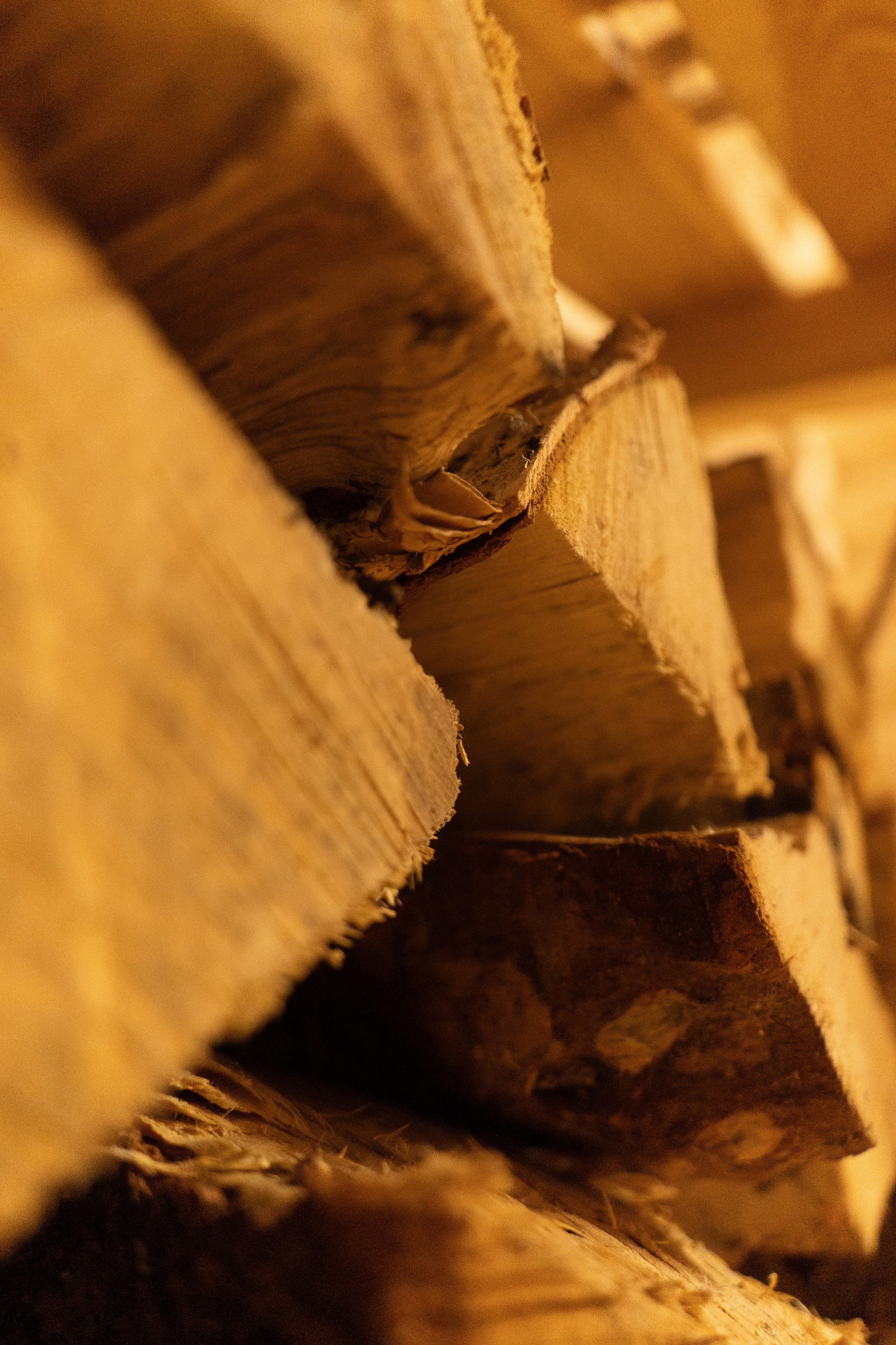 Home. Анастасия Паршукова — фотограф Шерегеш Новосибирск