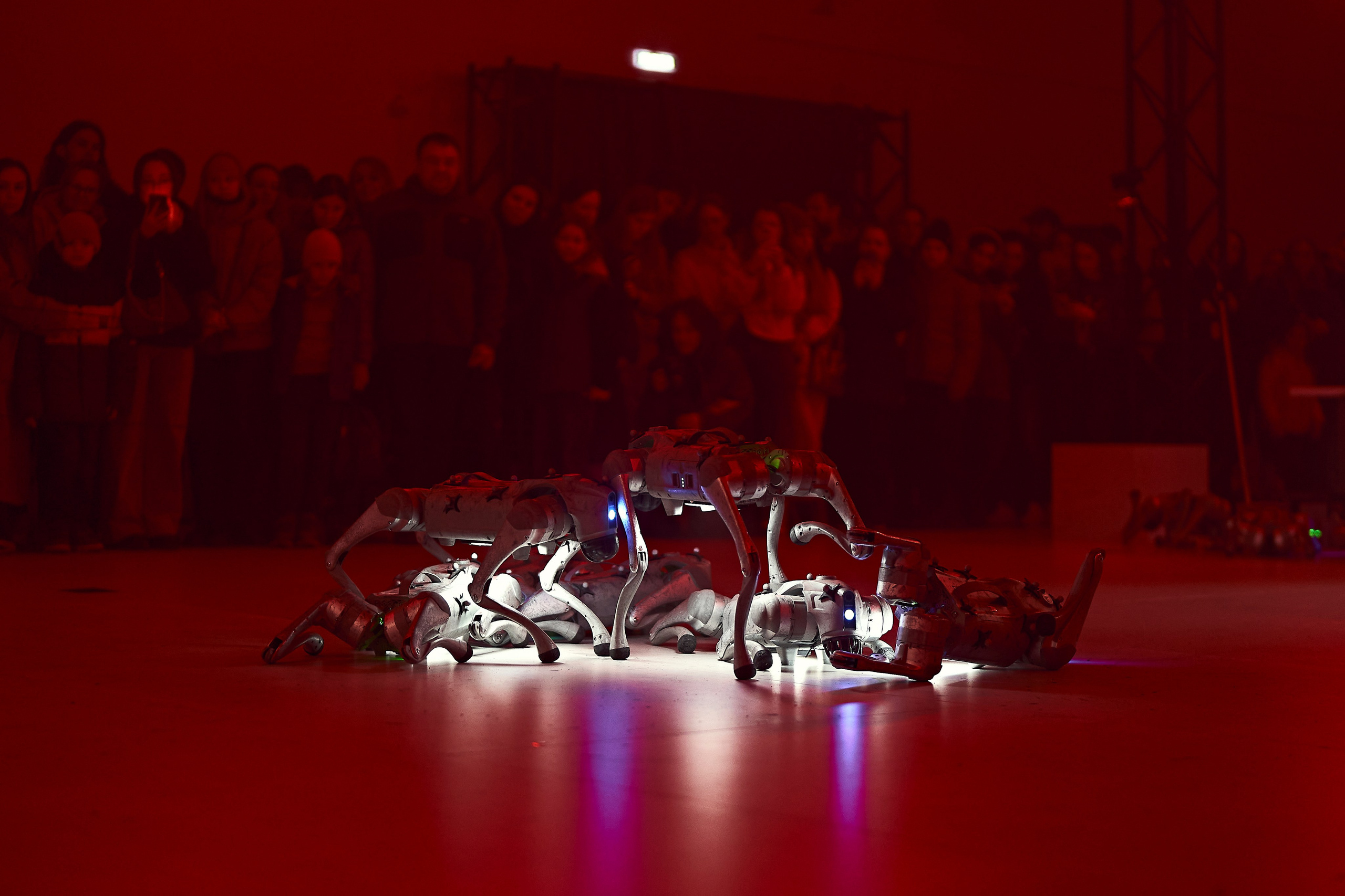 Международный фестиваль медиаискусства «INTERVALS» 24-25г. Репортажный фотограф Вилянов Евгений. Нижний Новгород