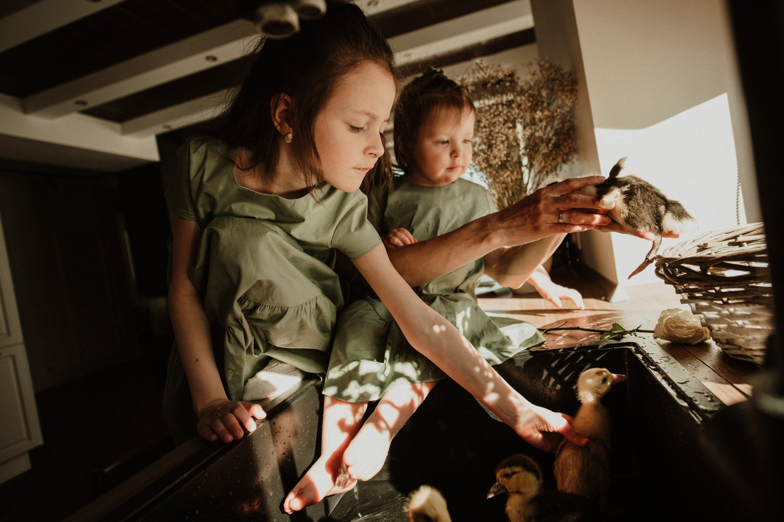 Утята. Свадебный фотограф Челябинск