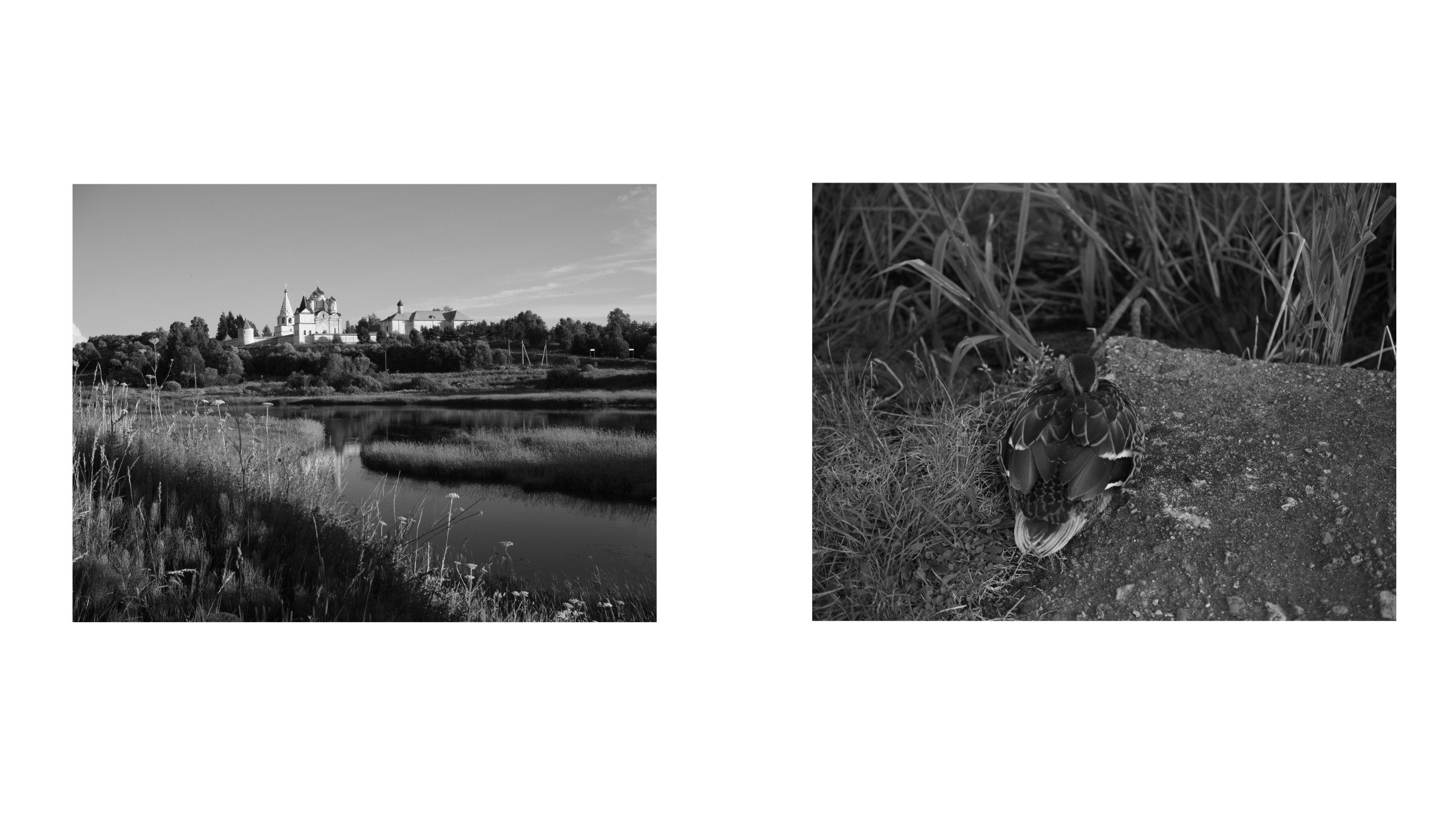 Документальный фотограф Настя Строчкина