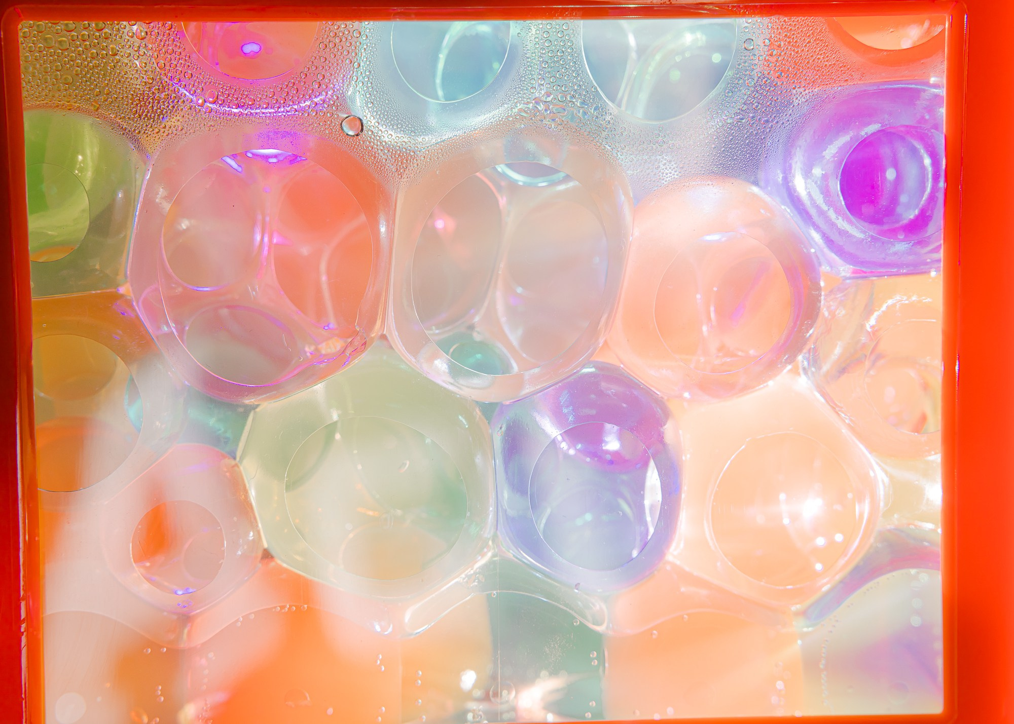 Выставка Город-Сад