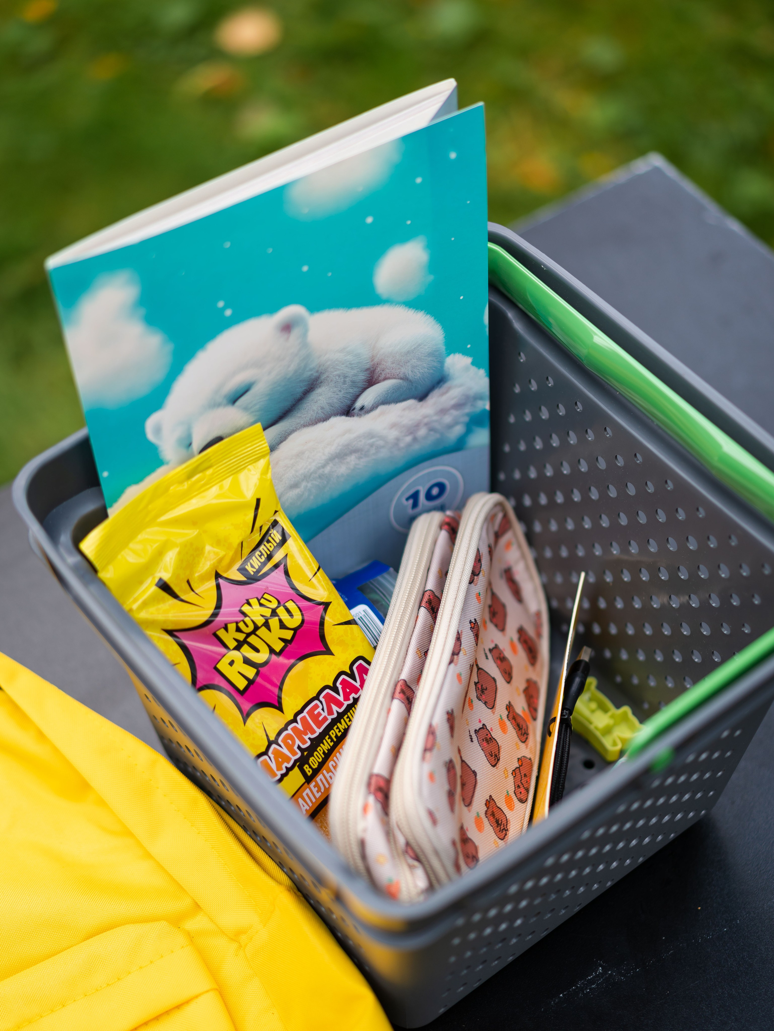 День знаний вместе с чижиком. Фотограф Москва