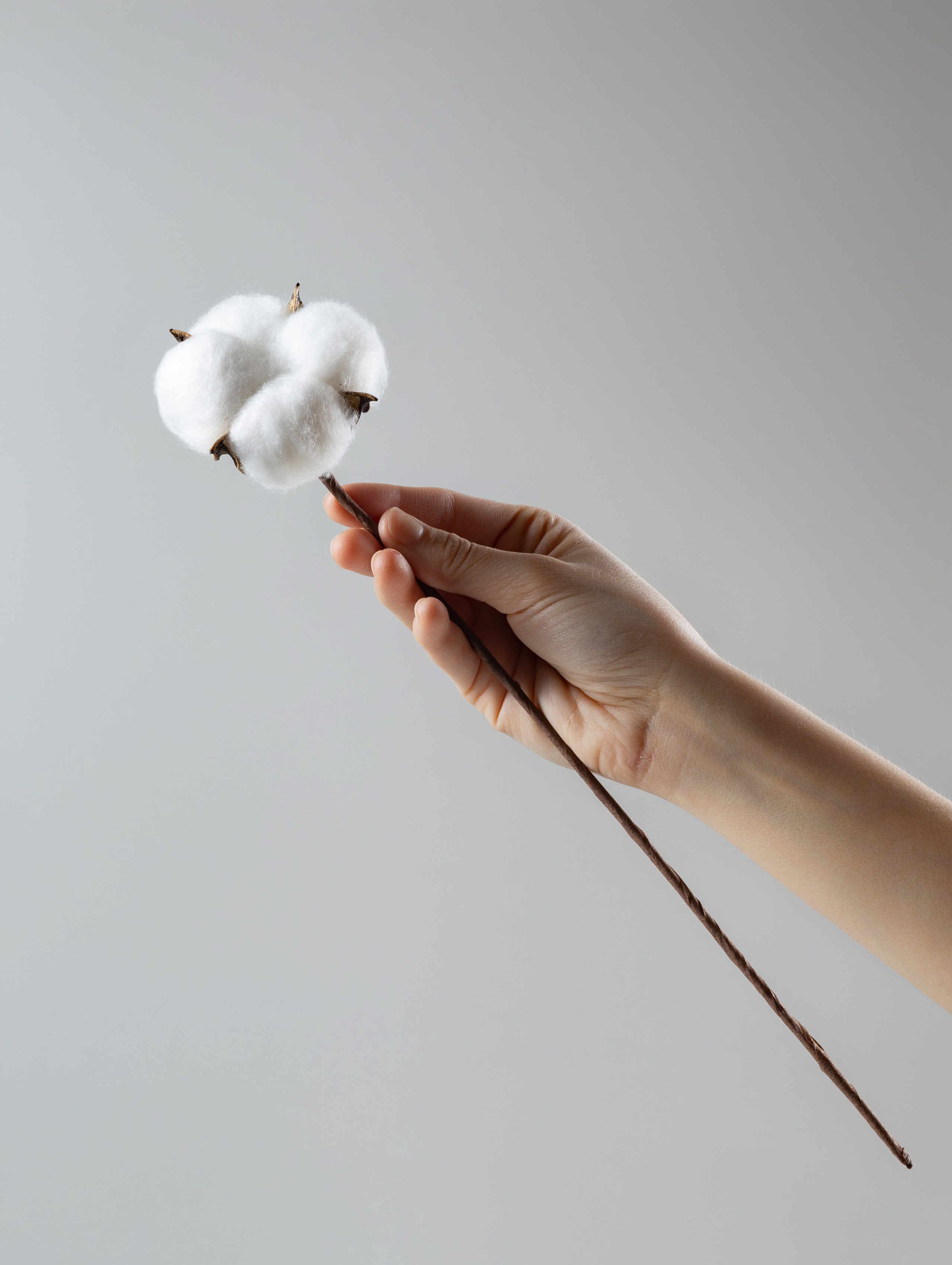 Сухоцветы для Wildberries. СЕМЕЙНЫЙ И ПРЕДМЕТНЫЙ ФОТОГРАФ — ЛЕНА ГОНЧАР | КРАСНОДАР | МАЙКОП