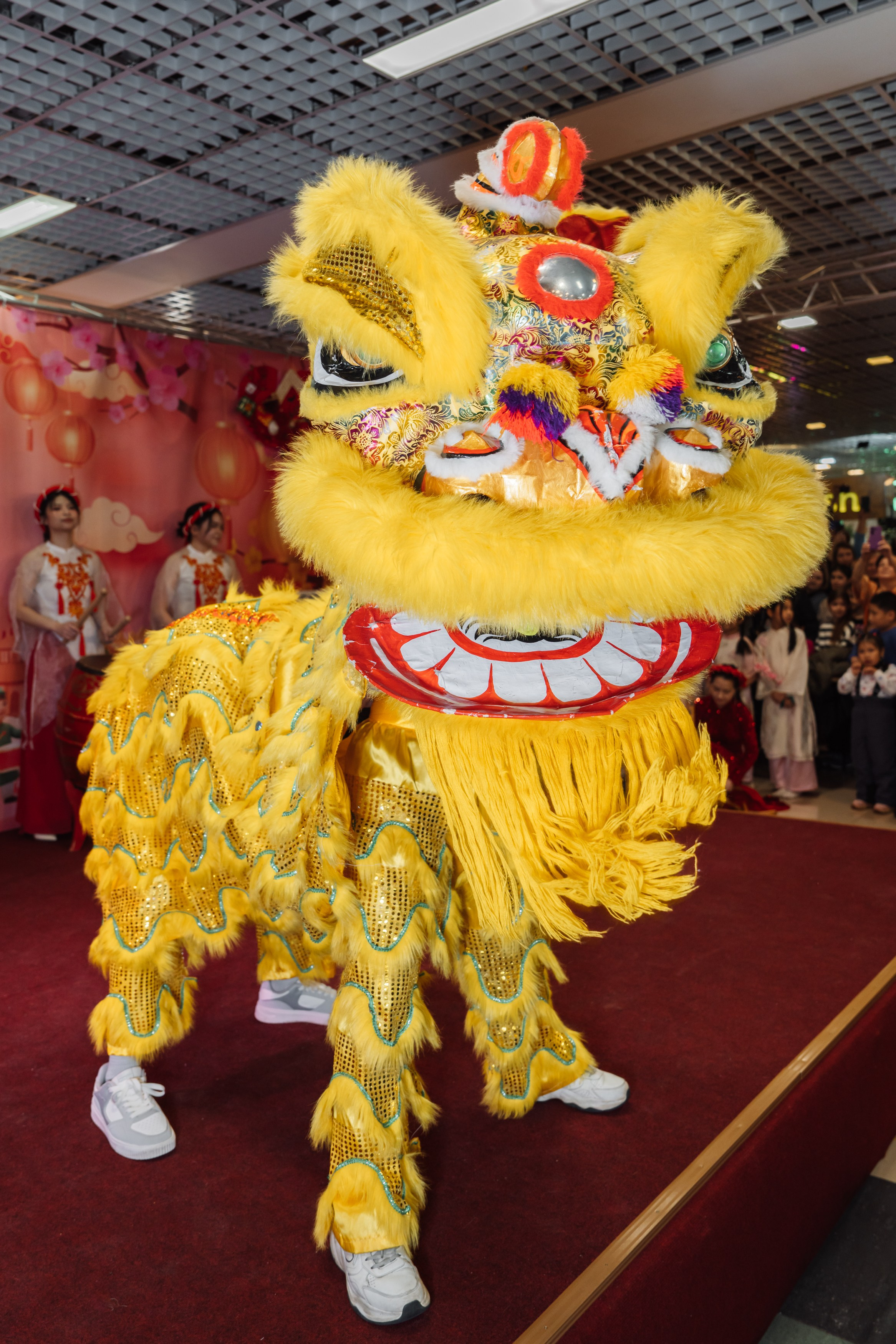 вьетнамский жёлтый дракон 