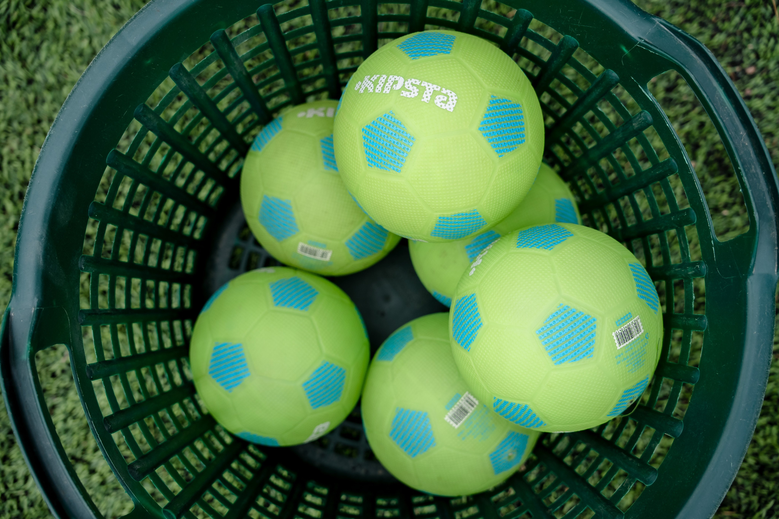 Летний корпоративный Family Day