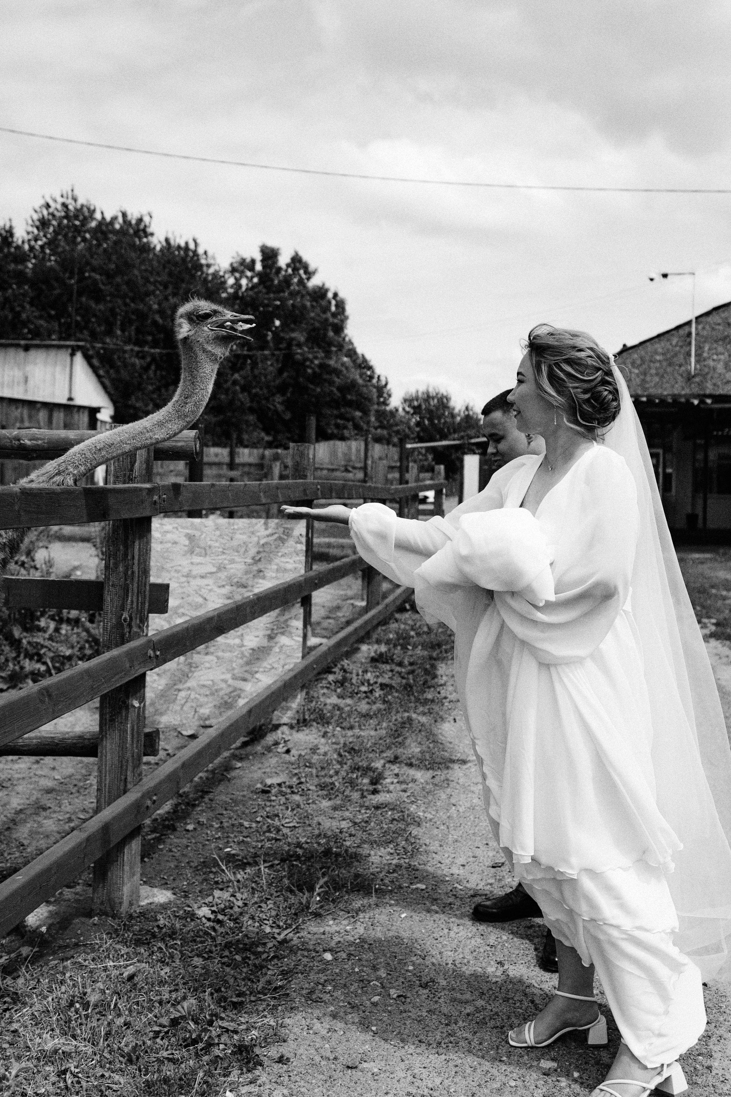Александр и Камиля. Свадебный и портретный фотограф Тюмень
