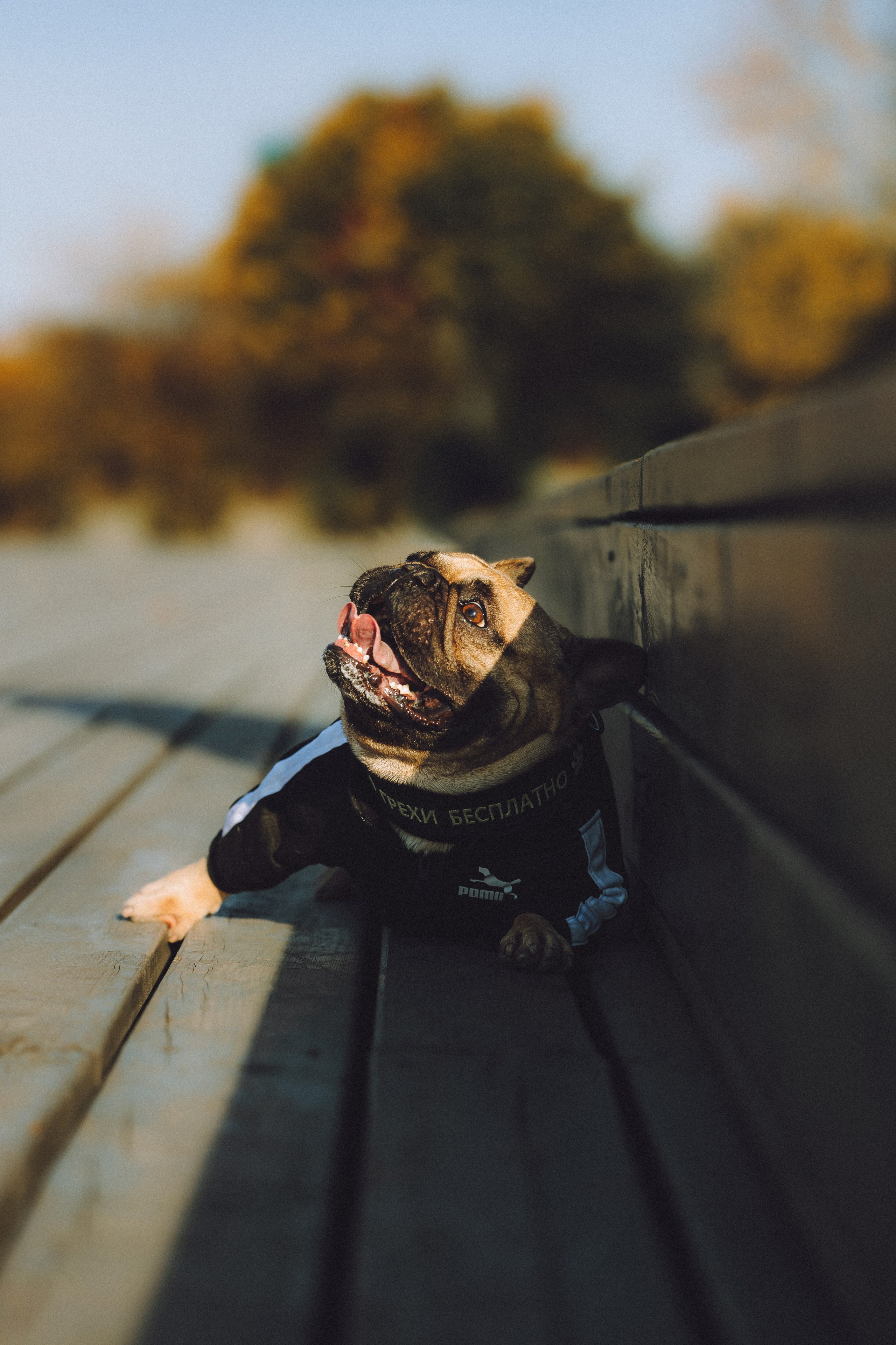 Настя, Женя и Хонор