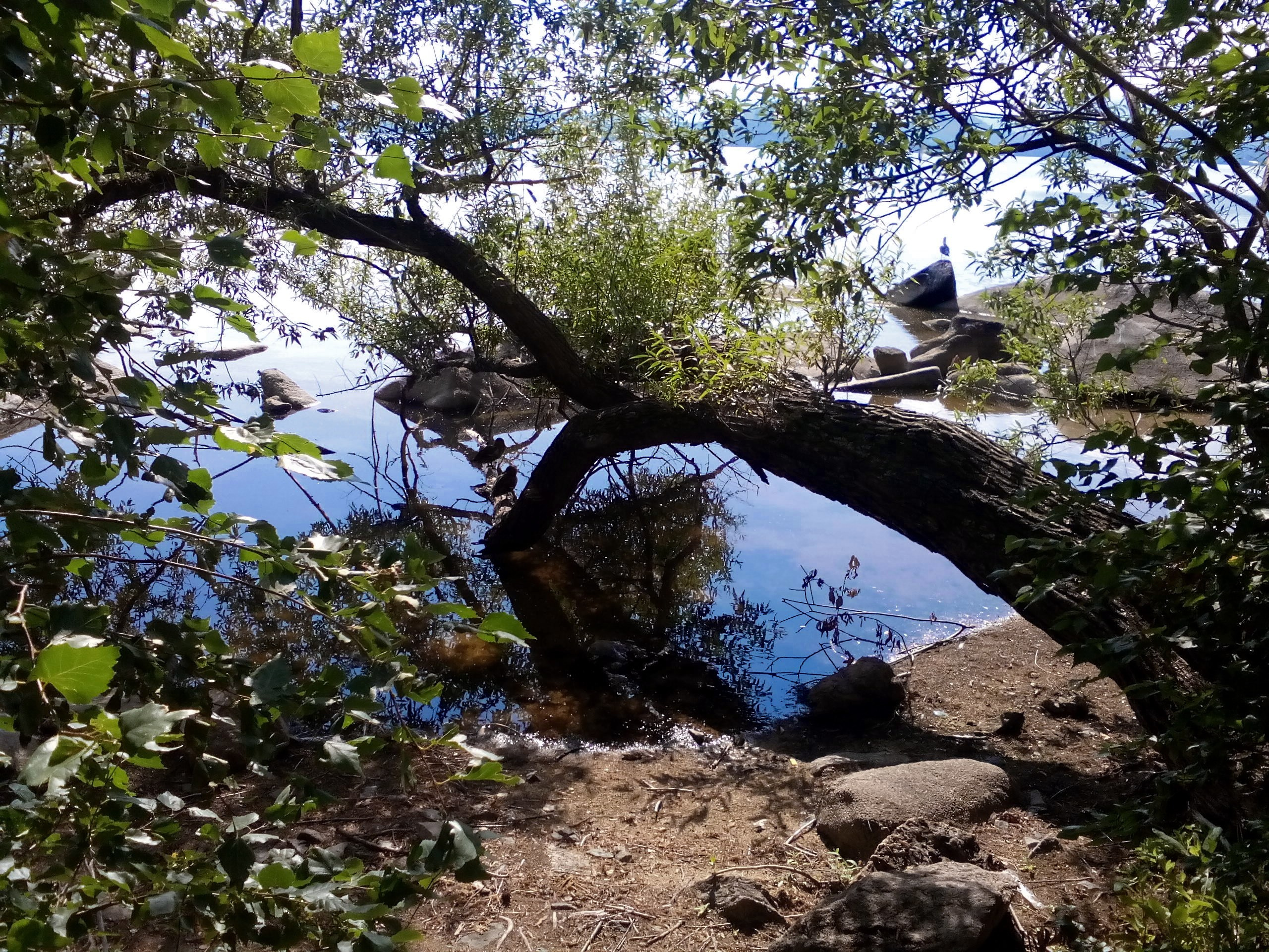 Боровое 2017 (из архива). Избранные фотографии