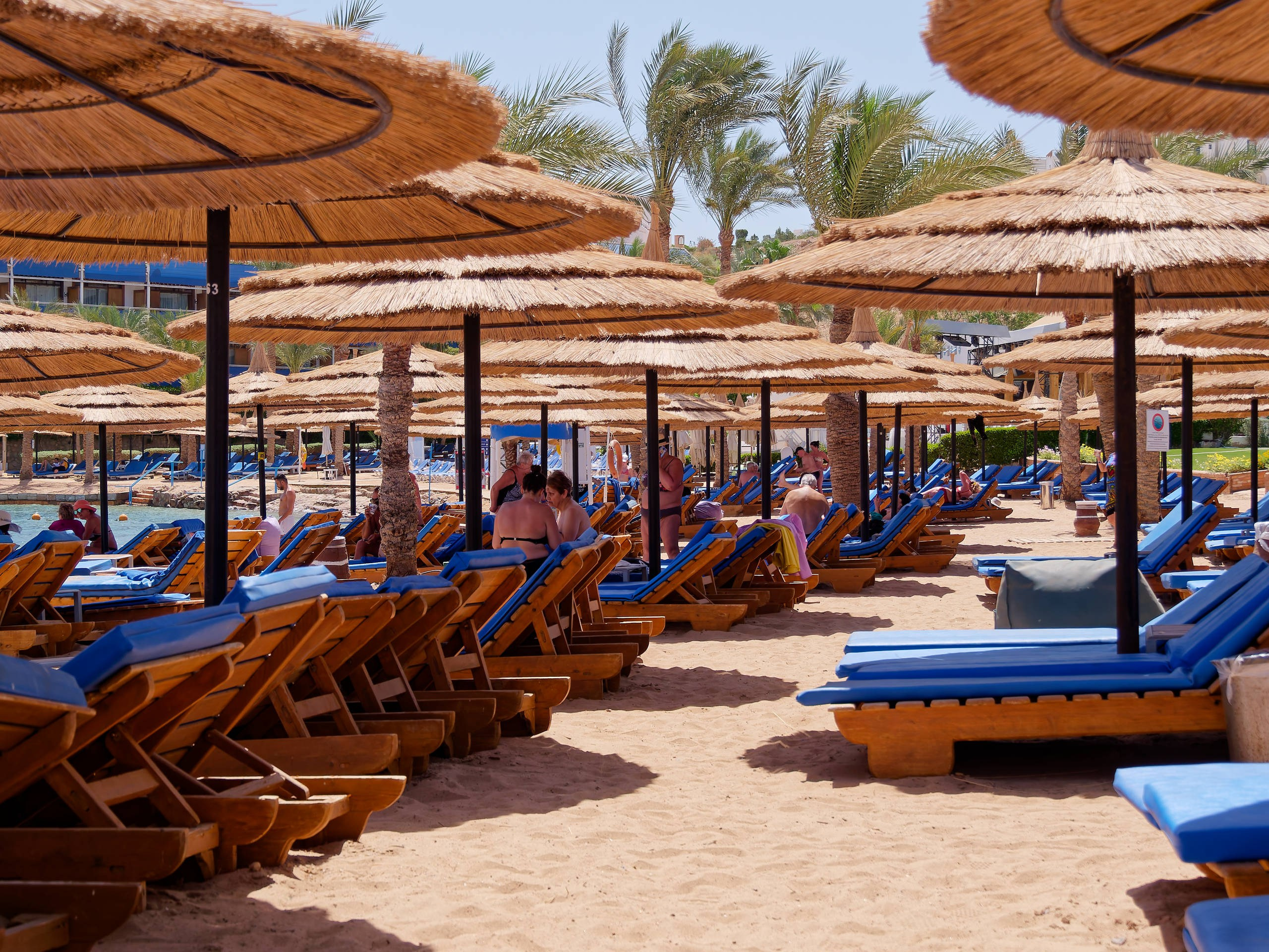 Шарм-эль-Шейх 2022 (1). Избранные фотографии