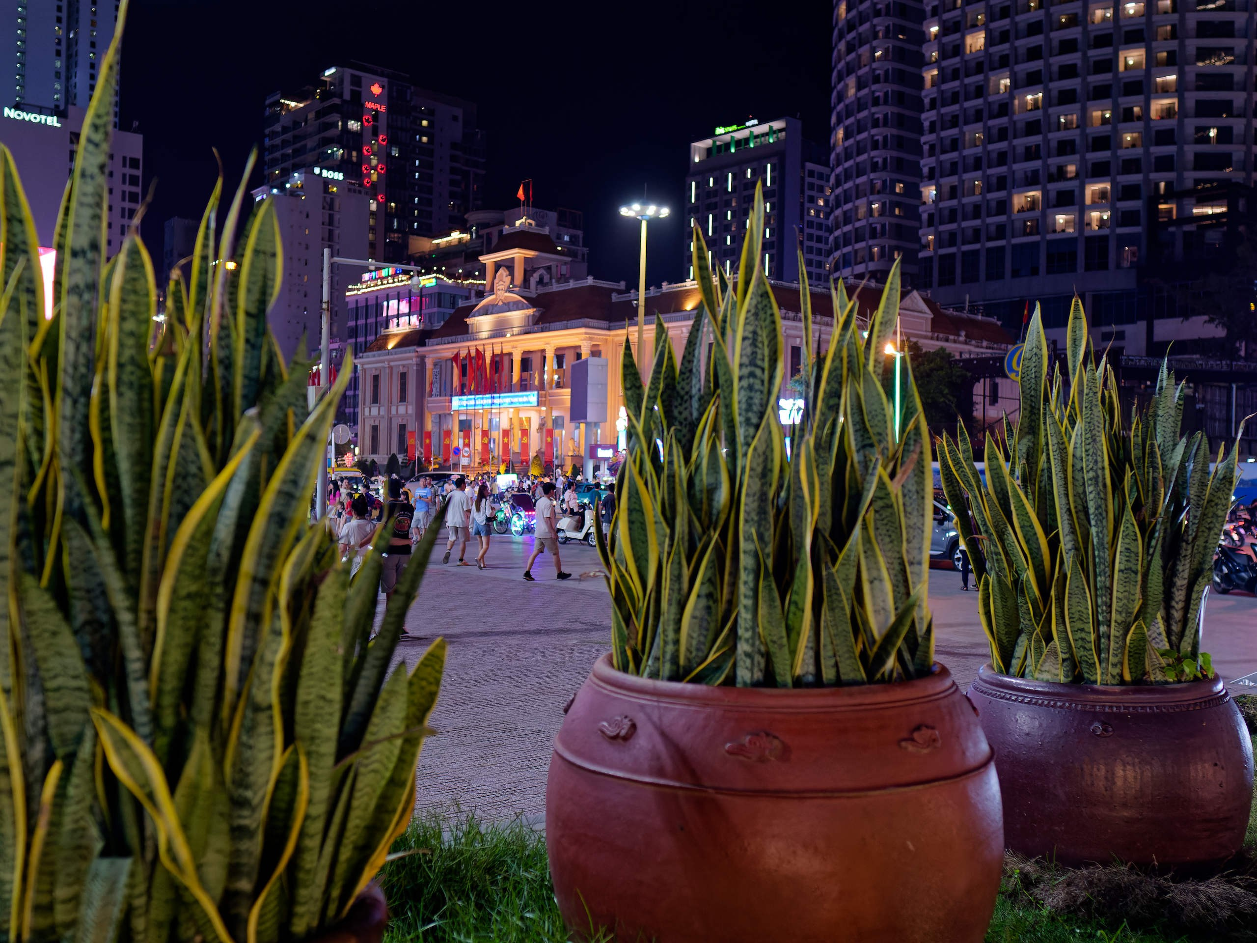 Нячанг 2025 (7). Избранные фотографии