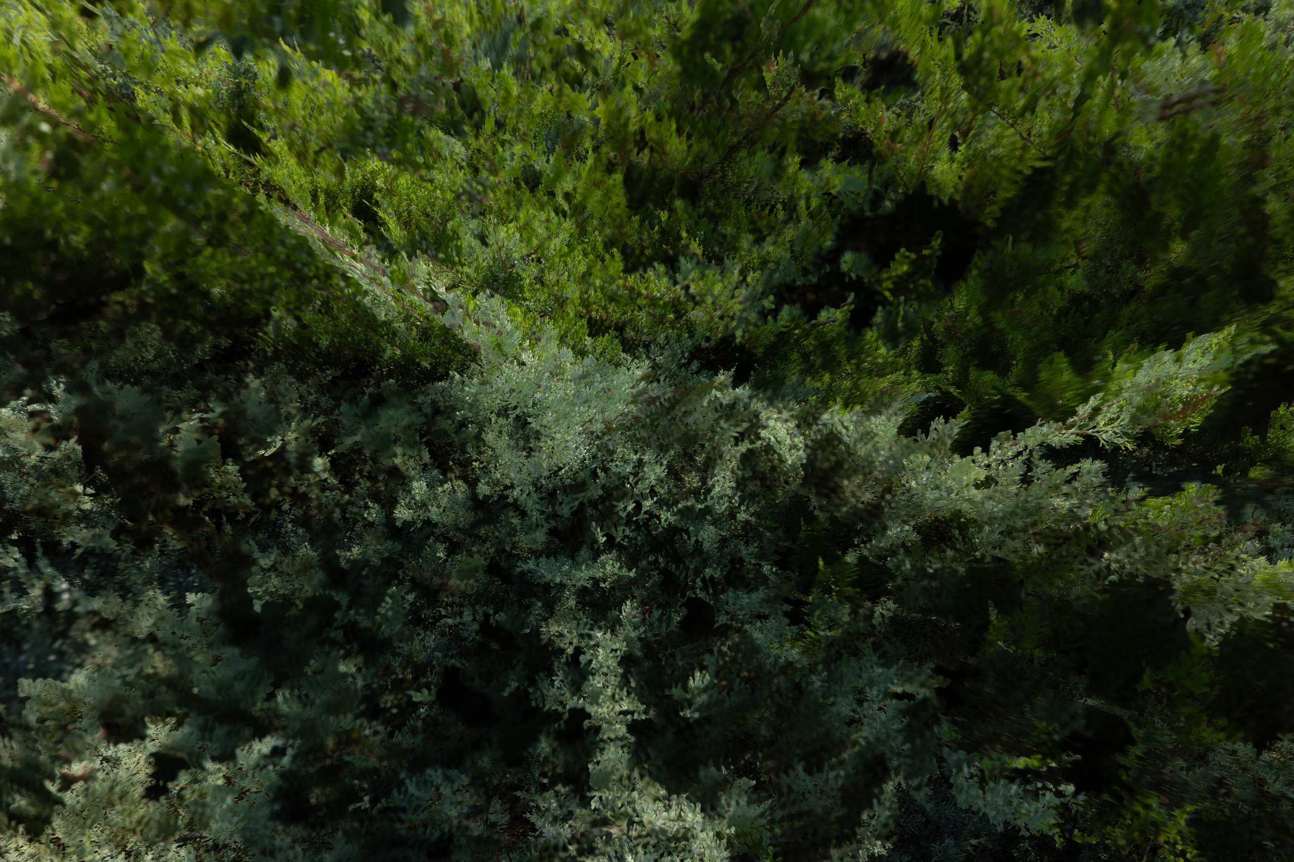 Art prints. Фотограф алина стерхова, алина стерхова фотограф, фотограф москва