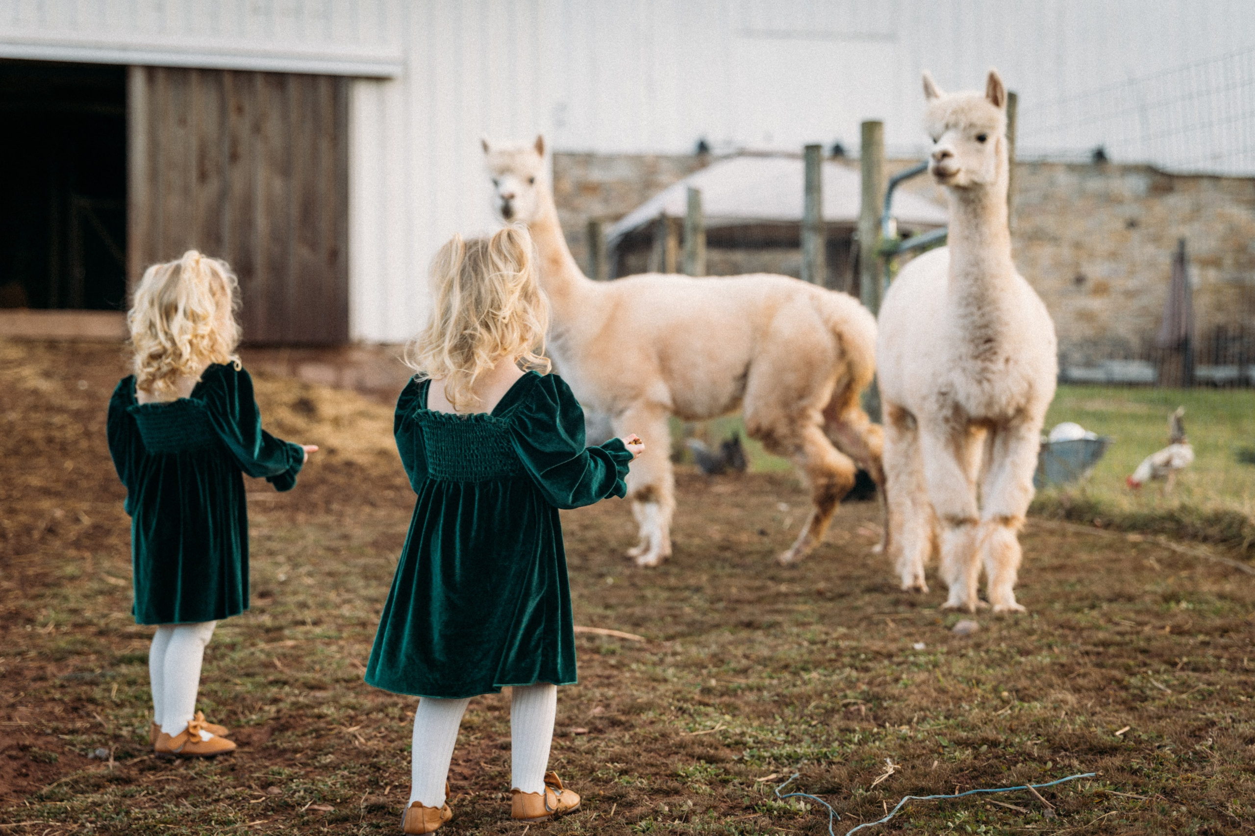 Family. Family photographer in Eastern Pennsylvania, Inna Nairn