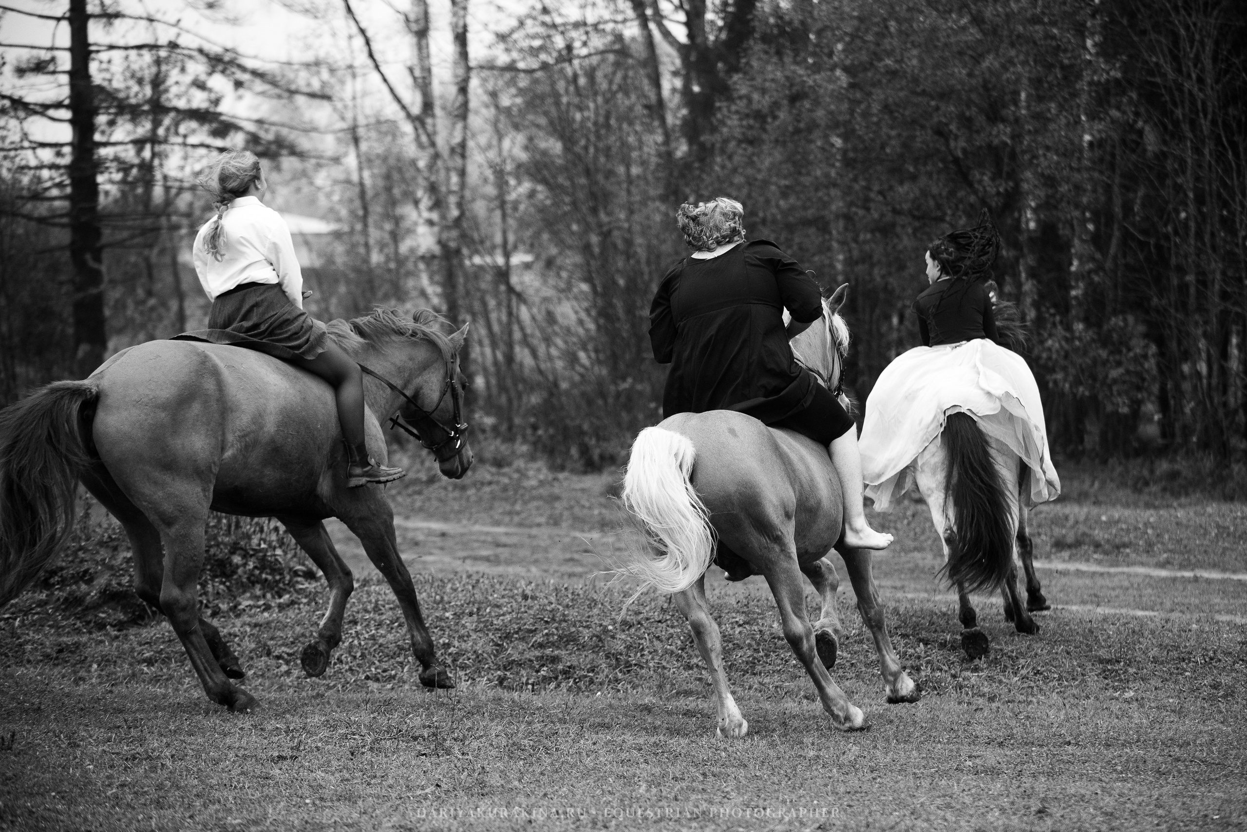 Ира, Тамара и Лена, КСК «БАЛЛАДА». Конный фотограф Куракина Дарья • Фотосессии с лошадьми