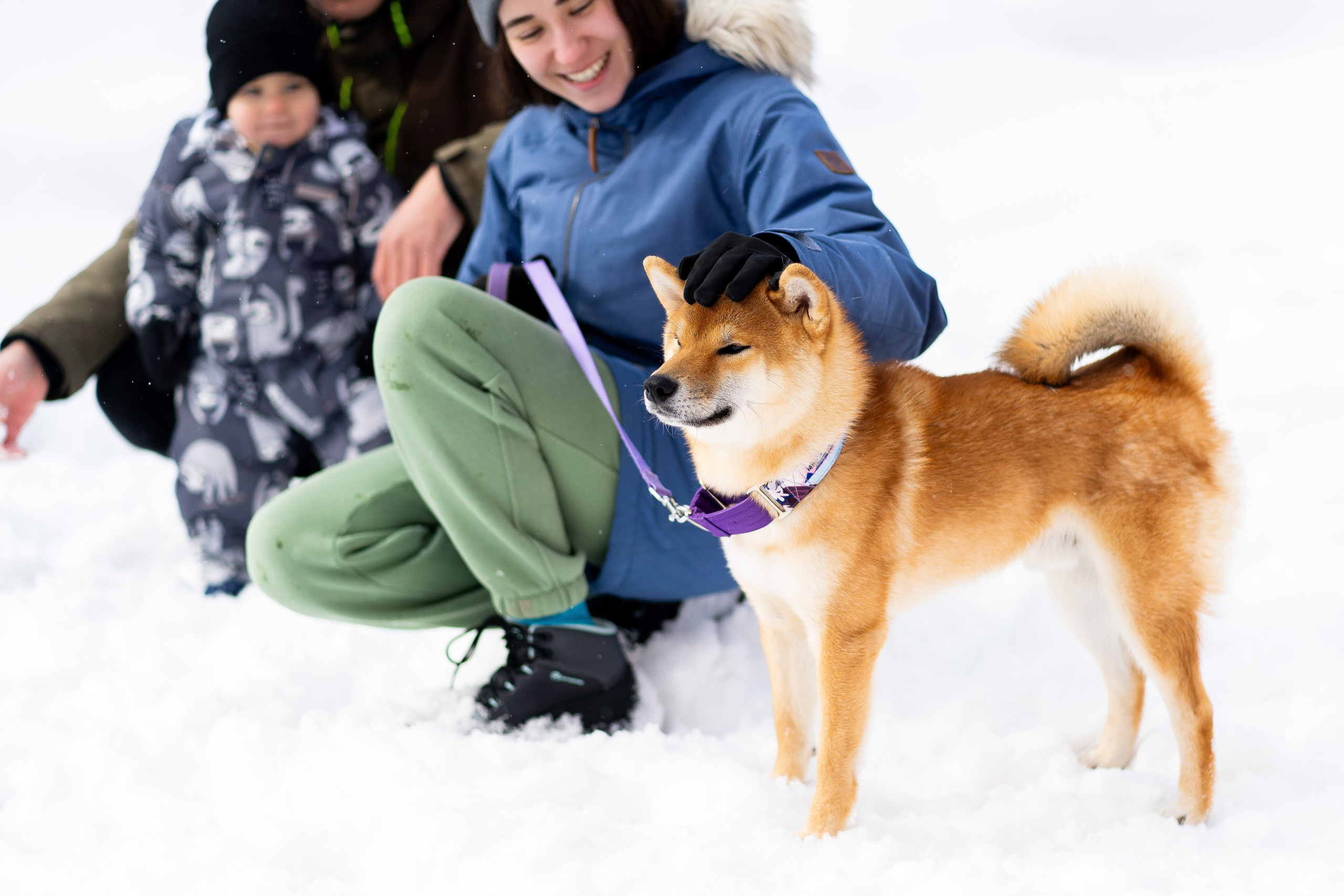 Соня&Лёня. Анастасия Паршукова — фотограф Шерегеш Новосибирск