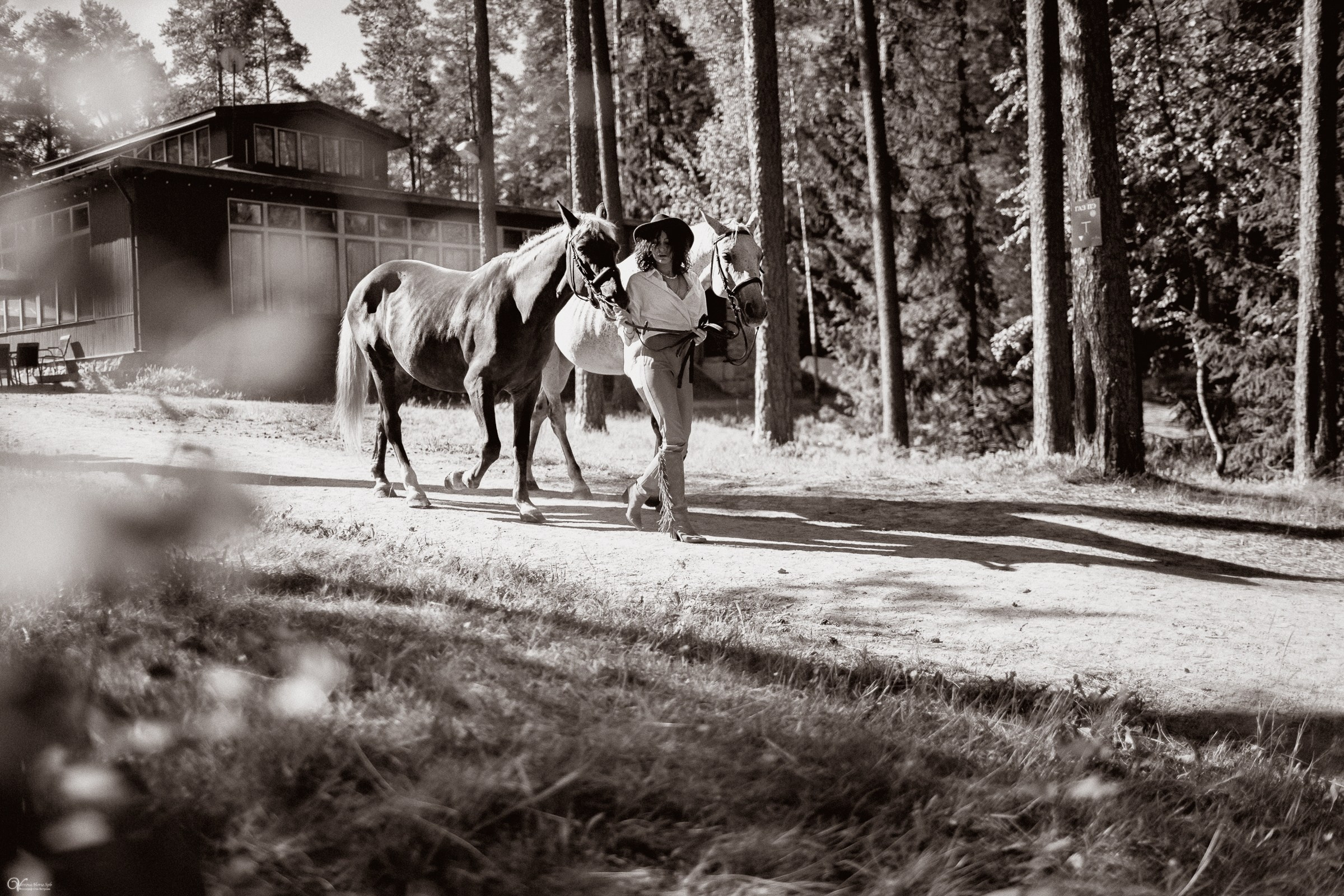 Фотосессия с лошадьми в катри-стиле. Фотограф женский и мужской портрет Санкт-Петербург