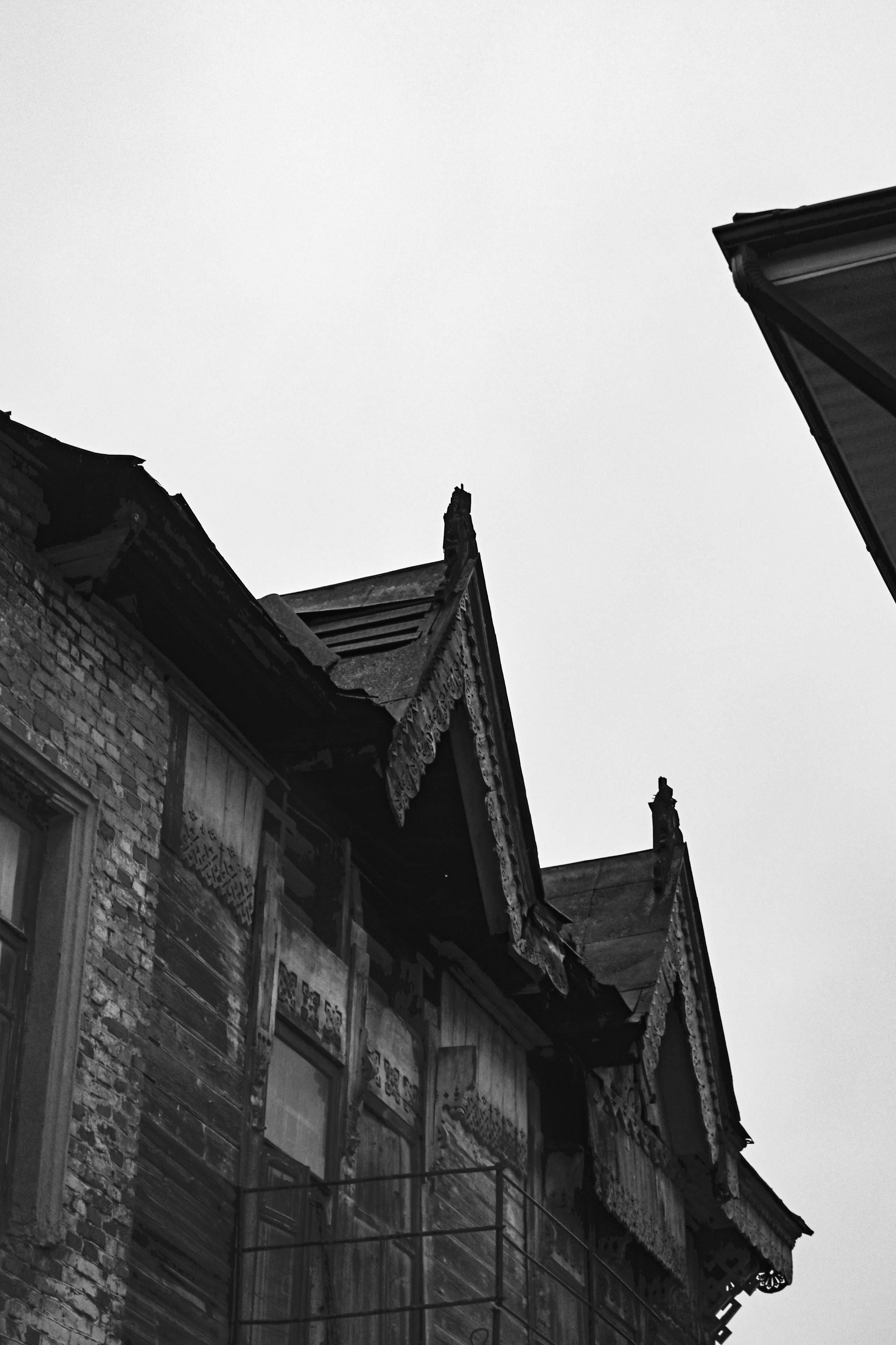 Чопопалики. Фотограф из Боровска в Калужской области