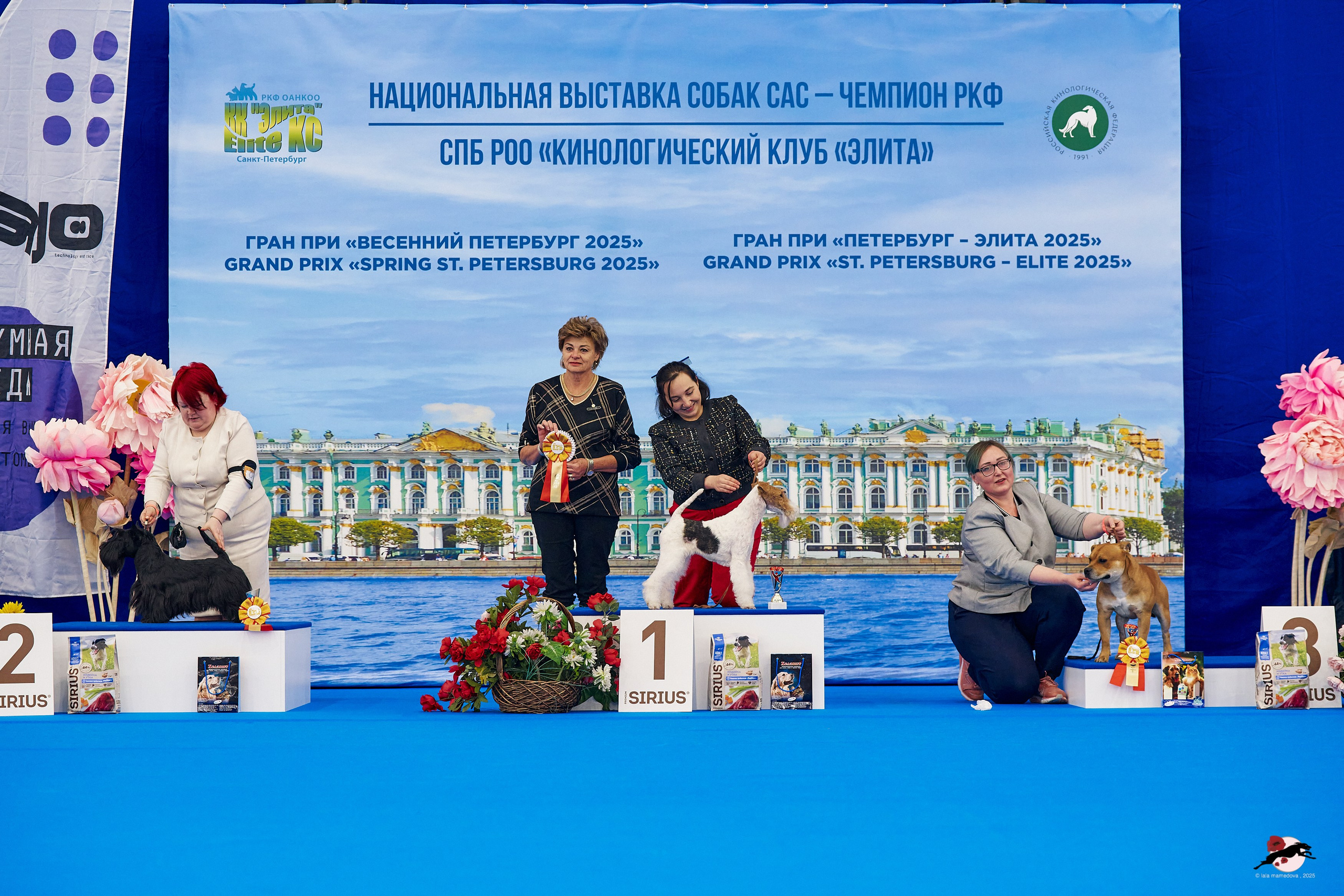 27.04.2025 | "Петербург-Элита 2025" & «КУБОК «ЭЛИТЫ»-2025»
