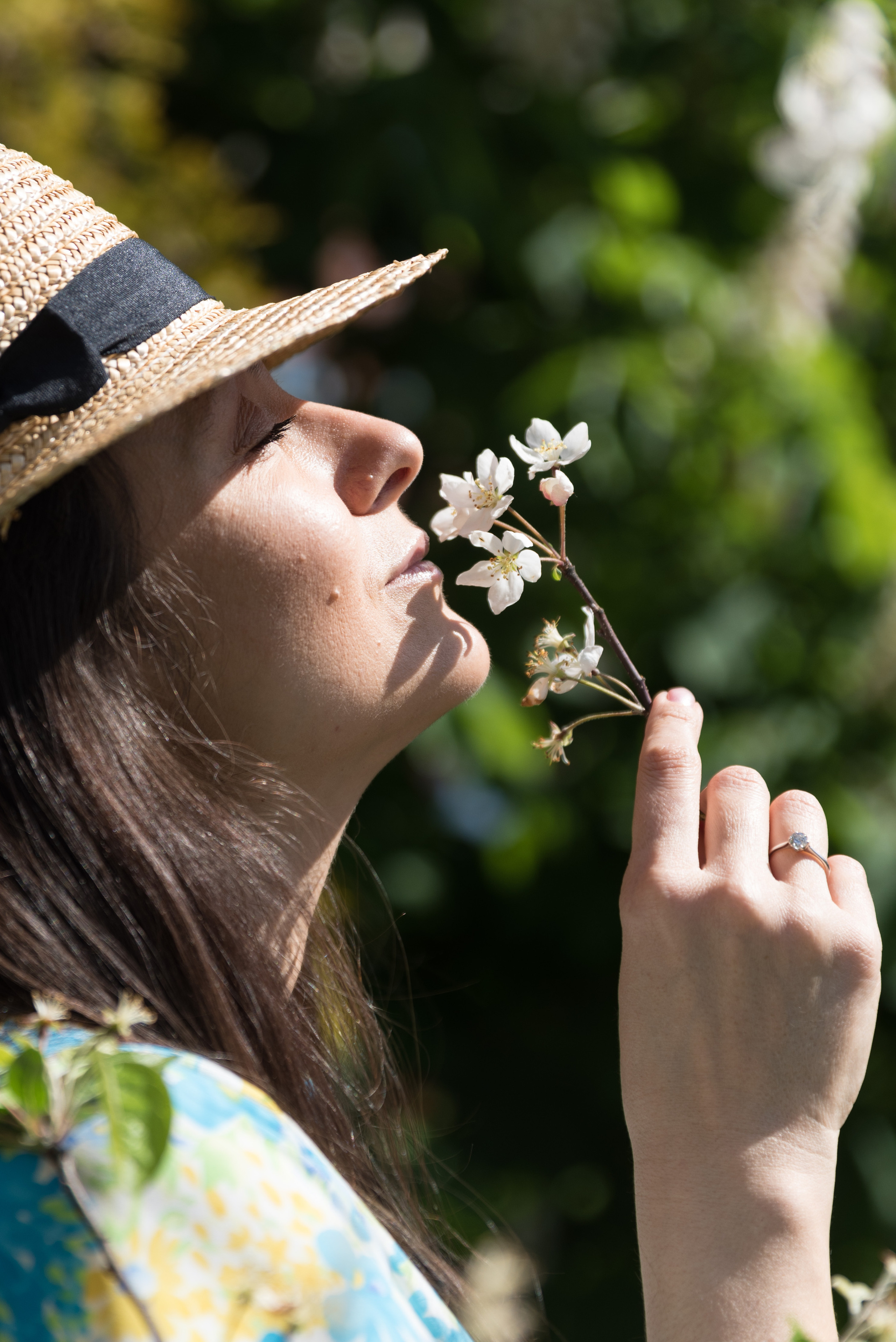 Цветущие сады