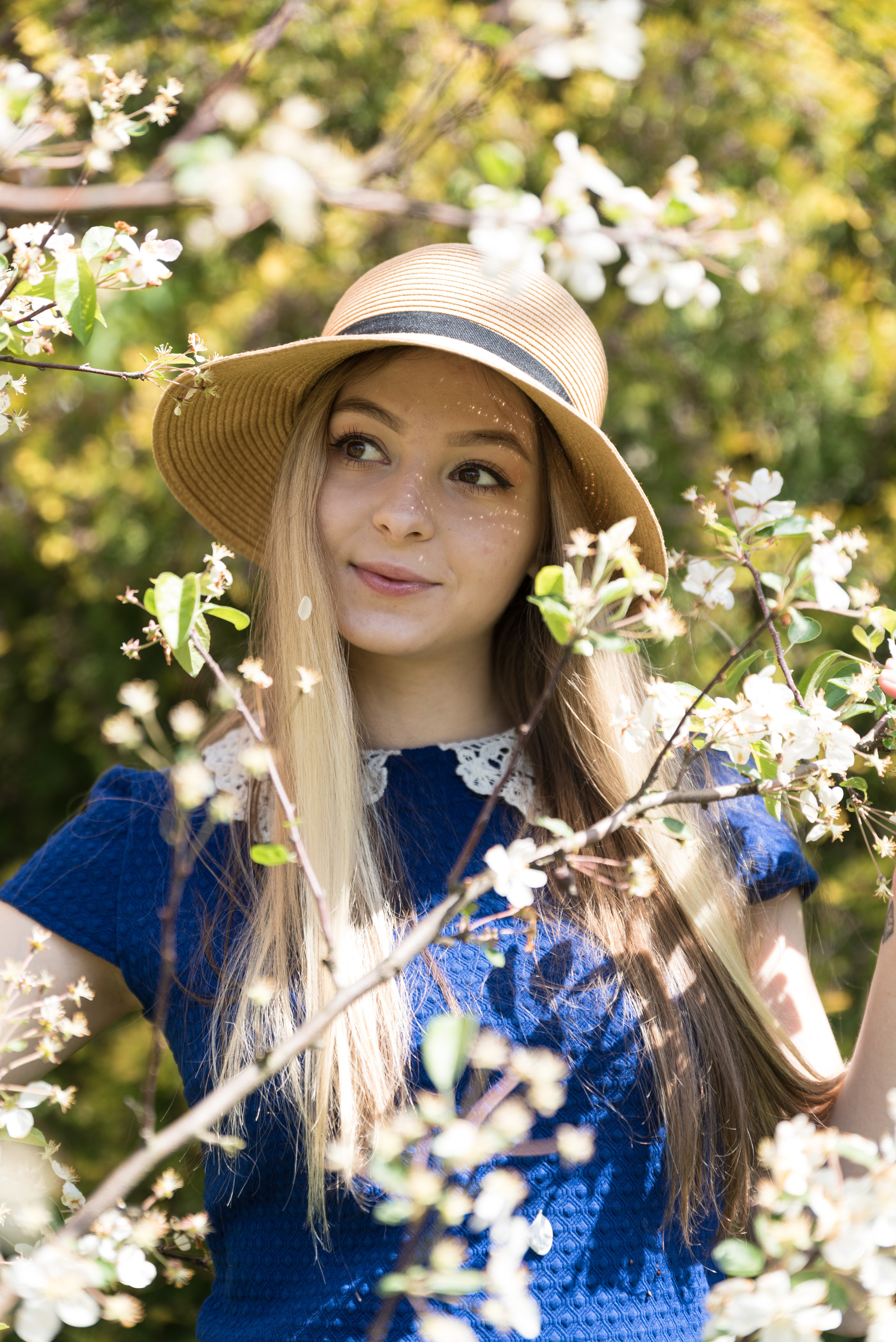 Цветущие сады