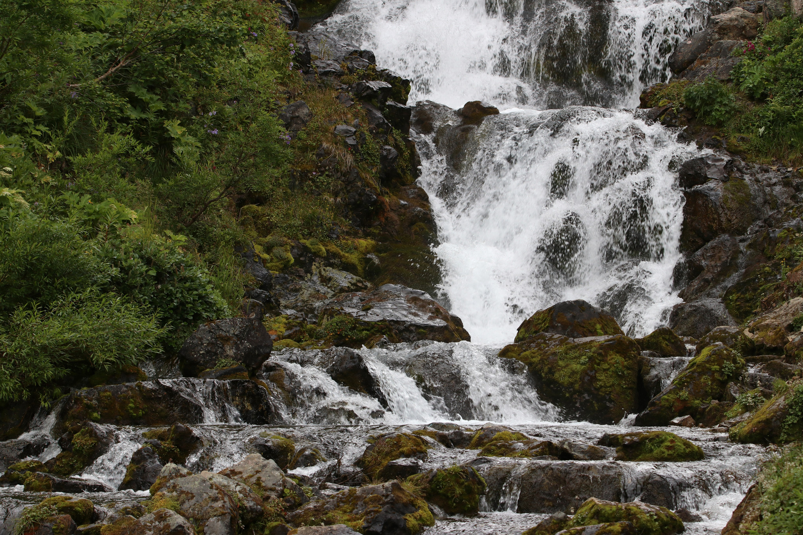 Камчатка и о. Парамушир. Июль 2024. Путешественник-фотограф из Санкт-Петербурга Татьяна Свистулина