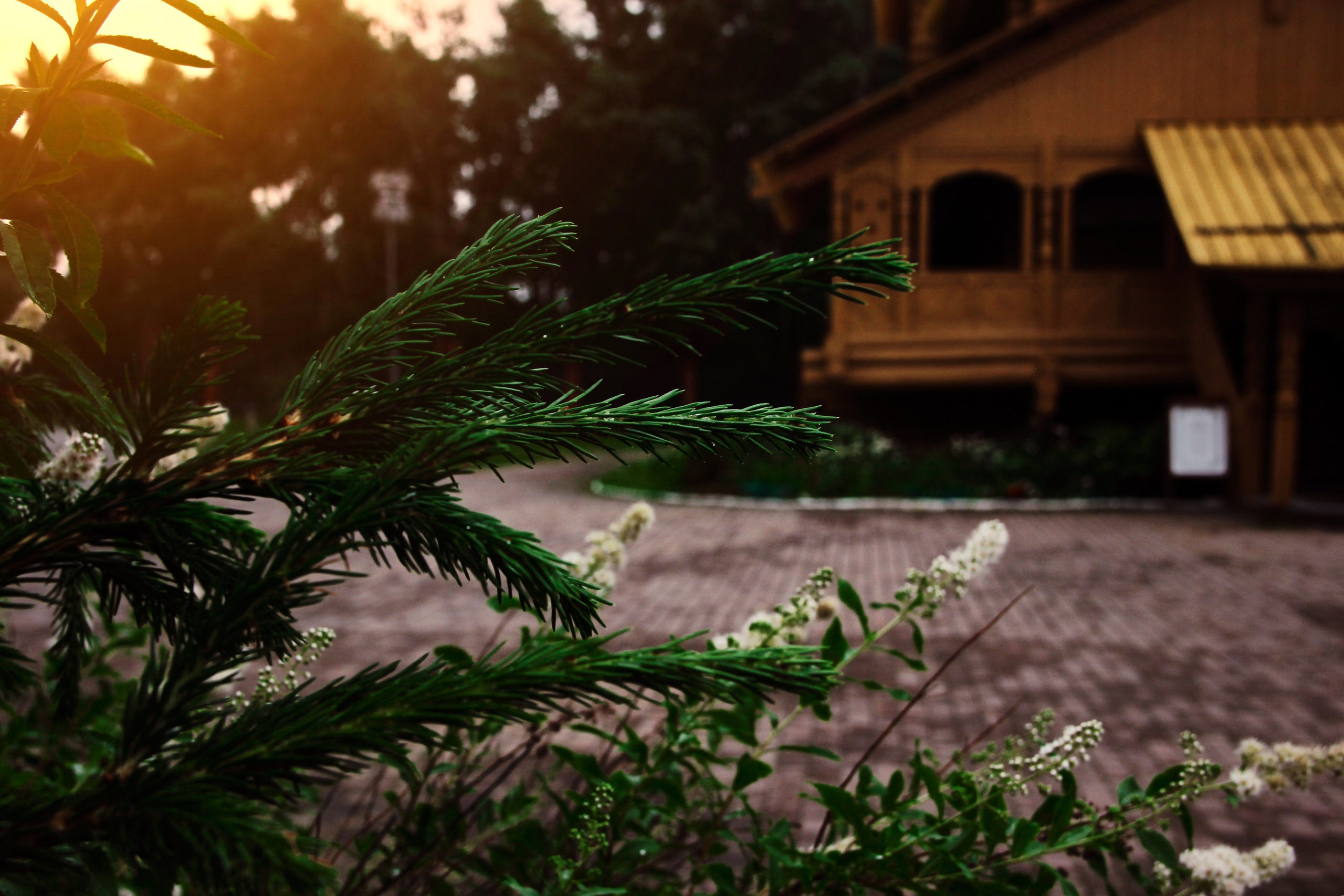 «Фестиваль традиционных русских ценностей» (5.07.2025 г.). Фотограф: IRINA K