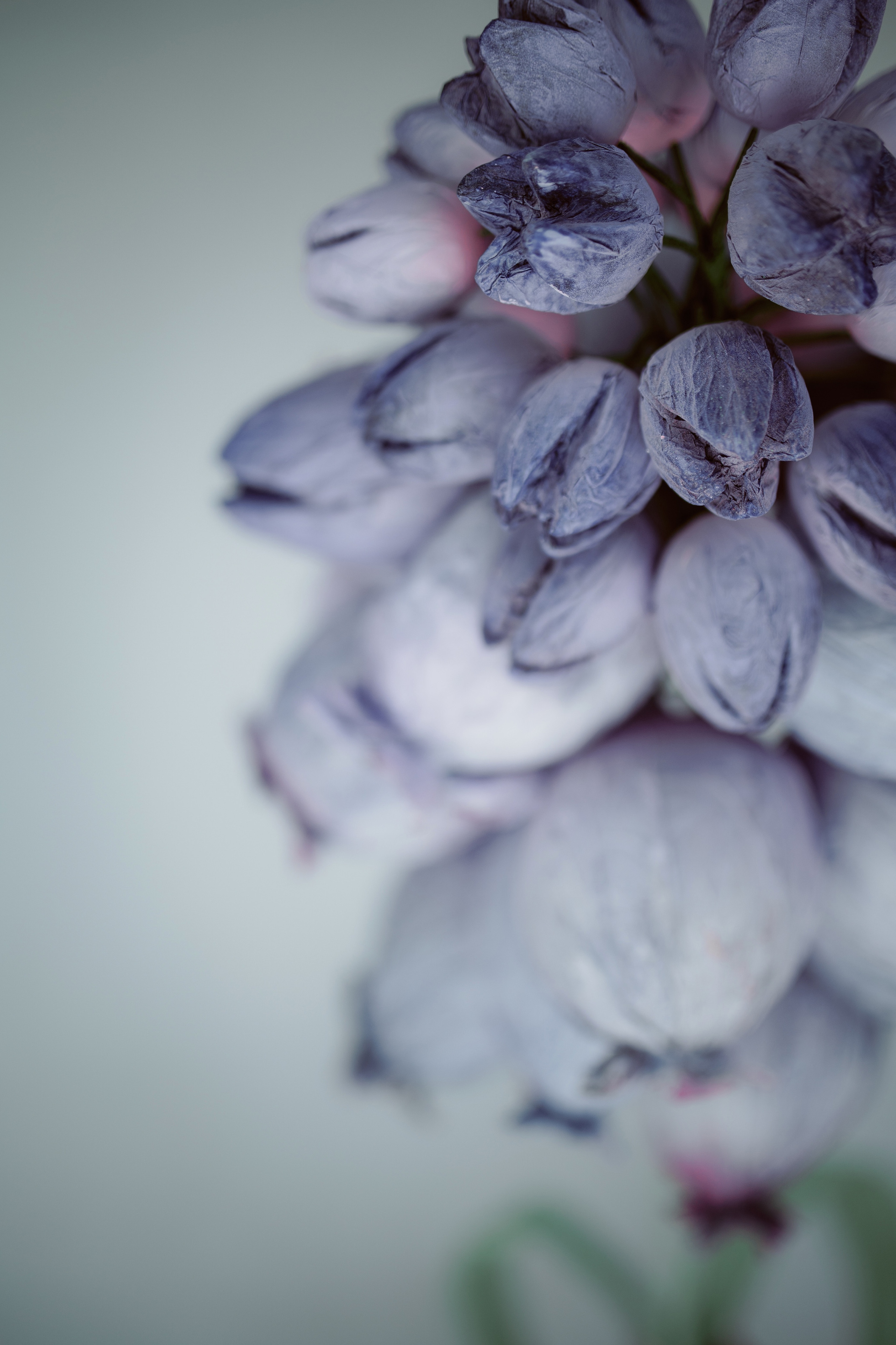 Гармония и красота: женственная фотосессия в светлых тонах. Свадебный фотограф Константинова Елена