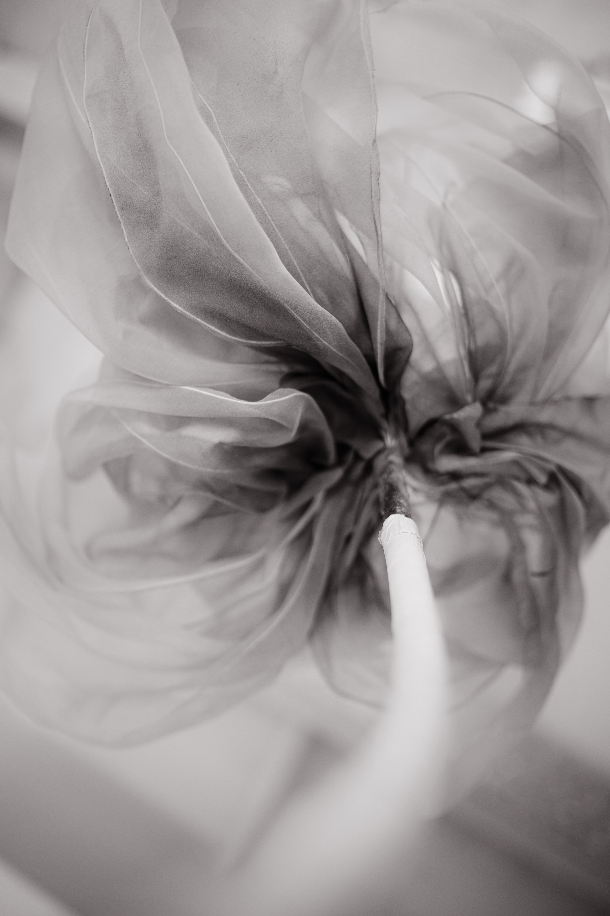 Гармония и красота: женственная фотосессия в светлых тонах. Свадебный фотограф Константинова Елена