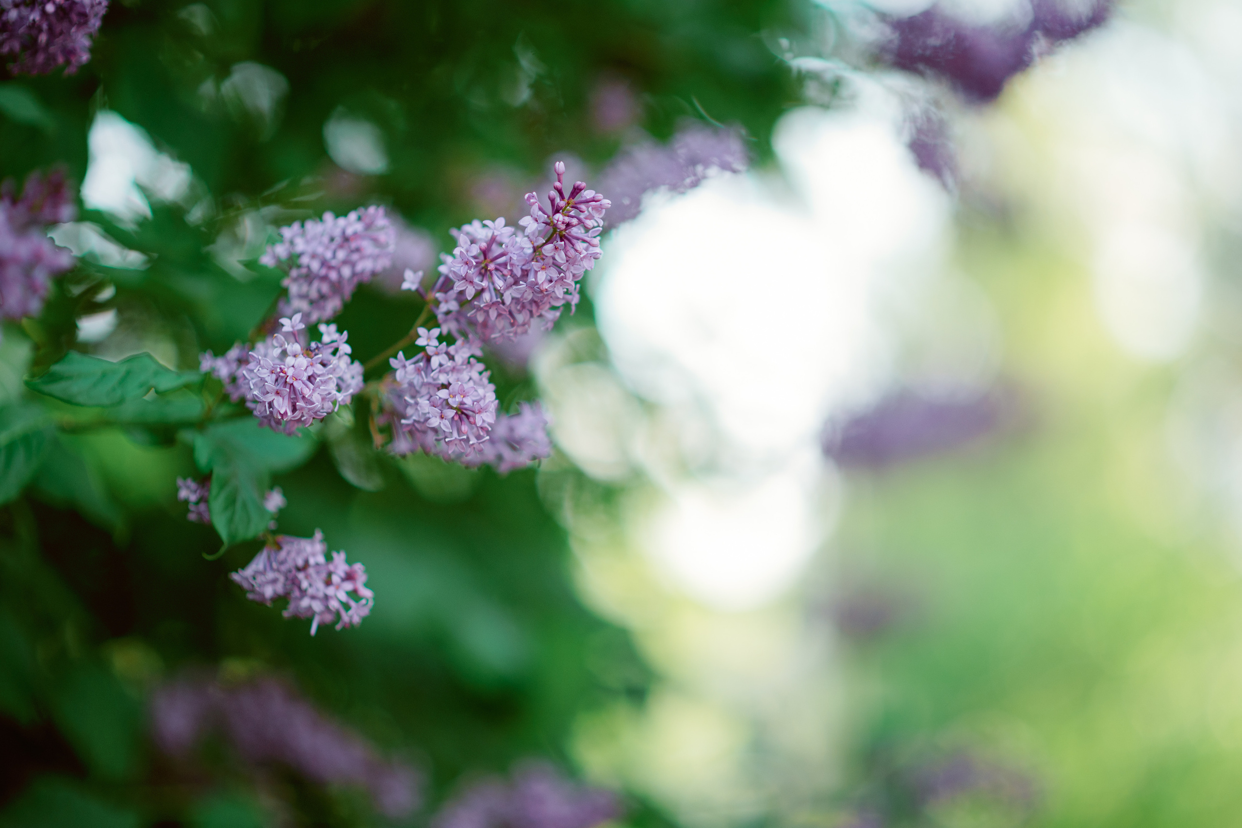 Городские зарисовки рядом с ВДНХ. Мск. Свадебный фотограф Константинова Елена