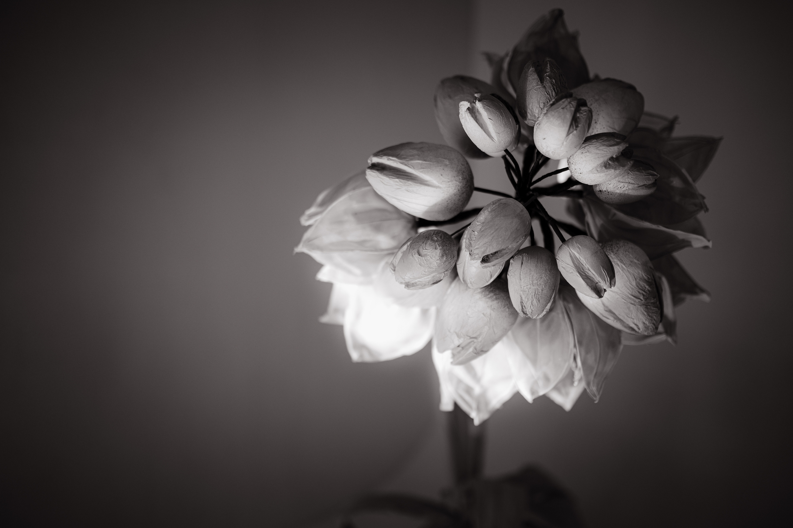 Гармония и красота: женственная фотосессия в светлых тонах. Свадебный фотограф Константинова Елена