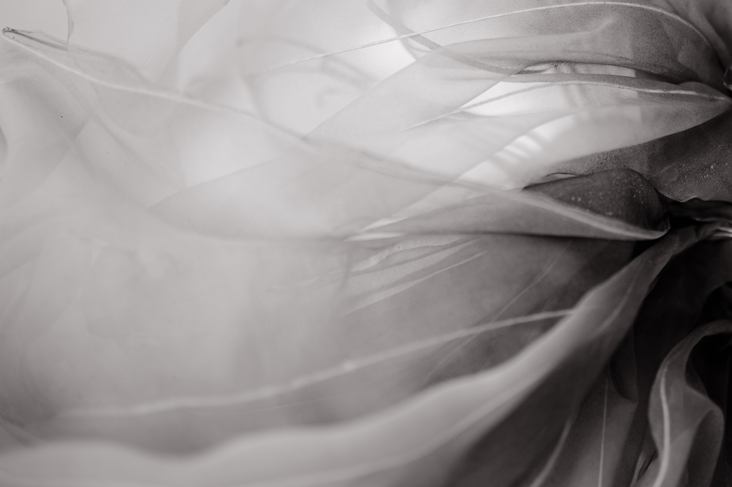 Гармония и красота: женственная фотосессия в светлых тонах. Свадебный фотограф Константинова Елена