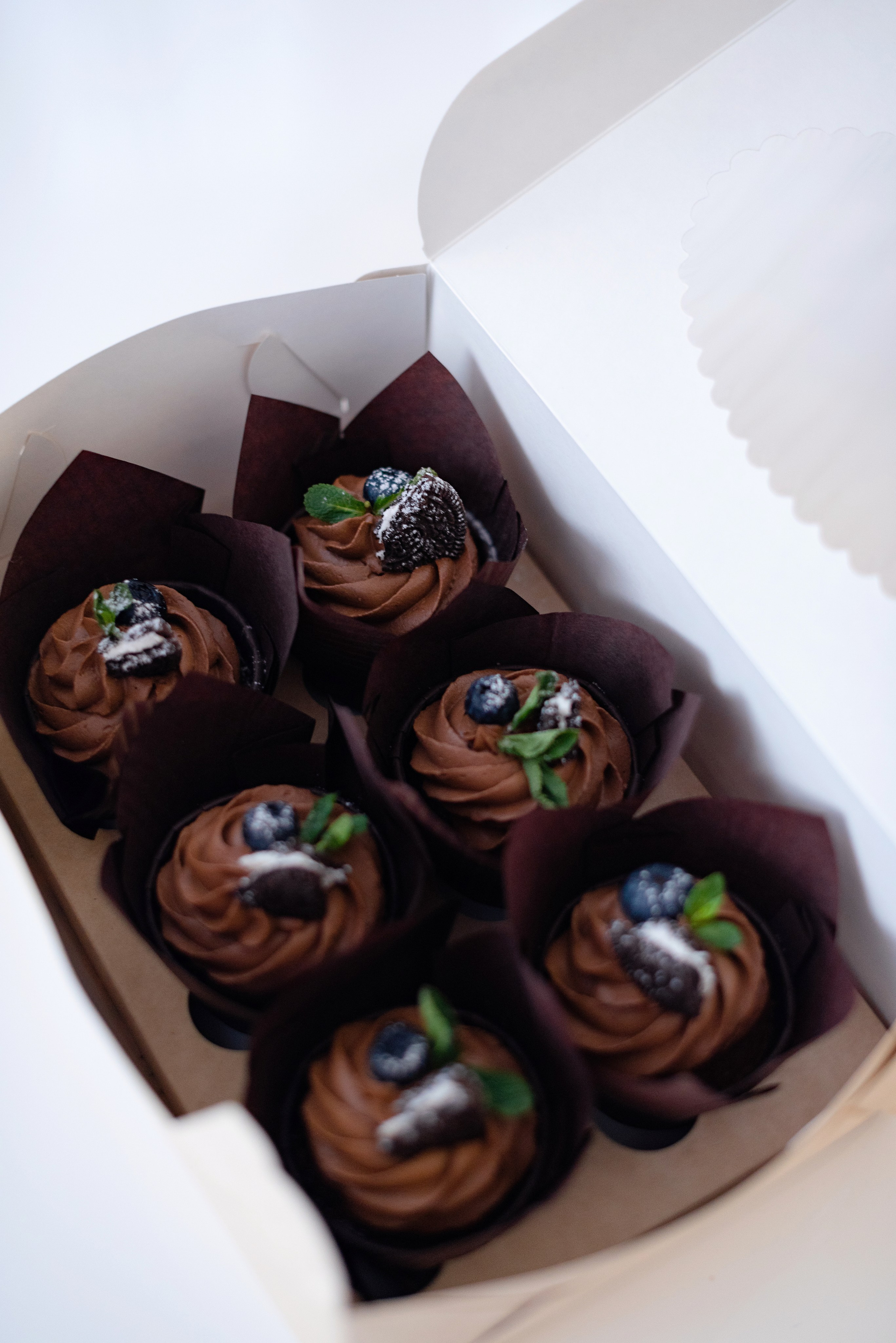 Фотограф на выписку Сургут