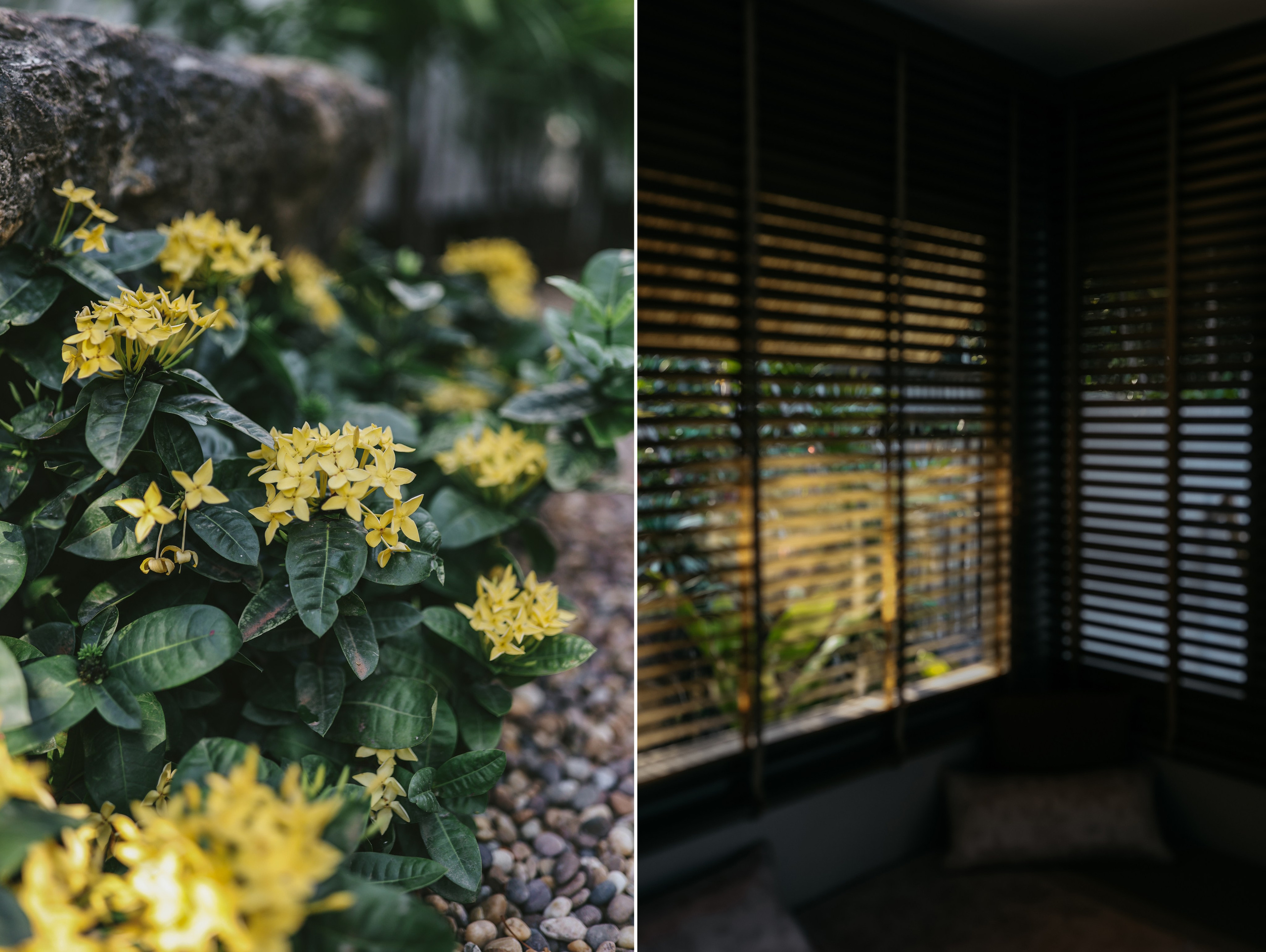 Thailand / Ban Sainai Resort. Ekaterina Buneeva Photography